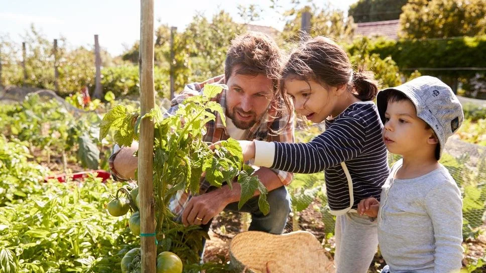 Merrylands Community Garden