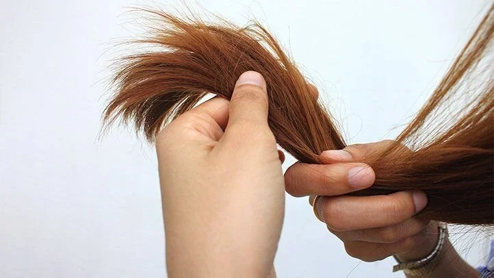 Close-up of a person's hand holding brown hair ends, showing split ends, against a plain background.