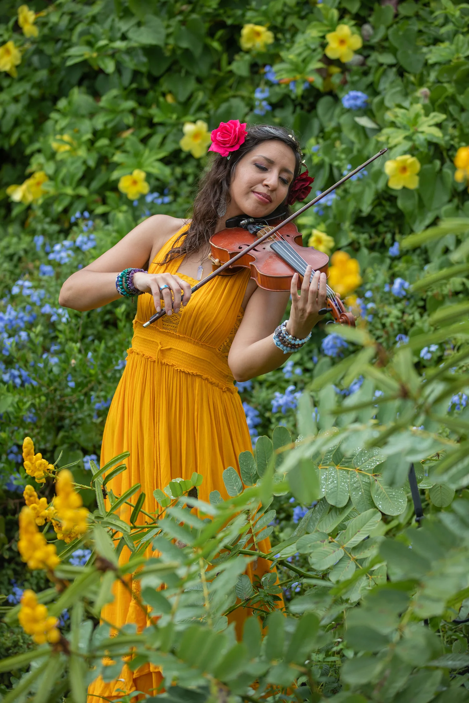 ZEN Seraphine playing violin