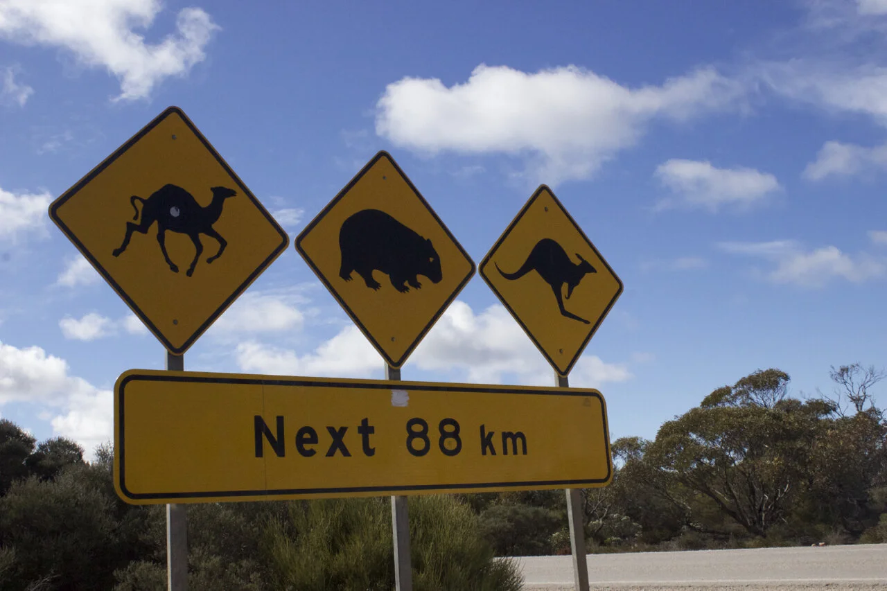 Are you on the right path?