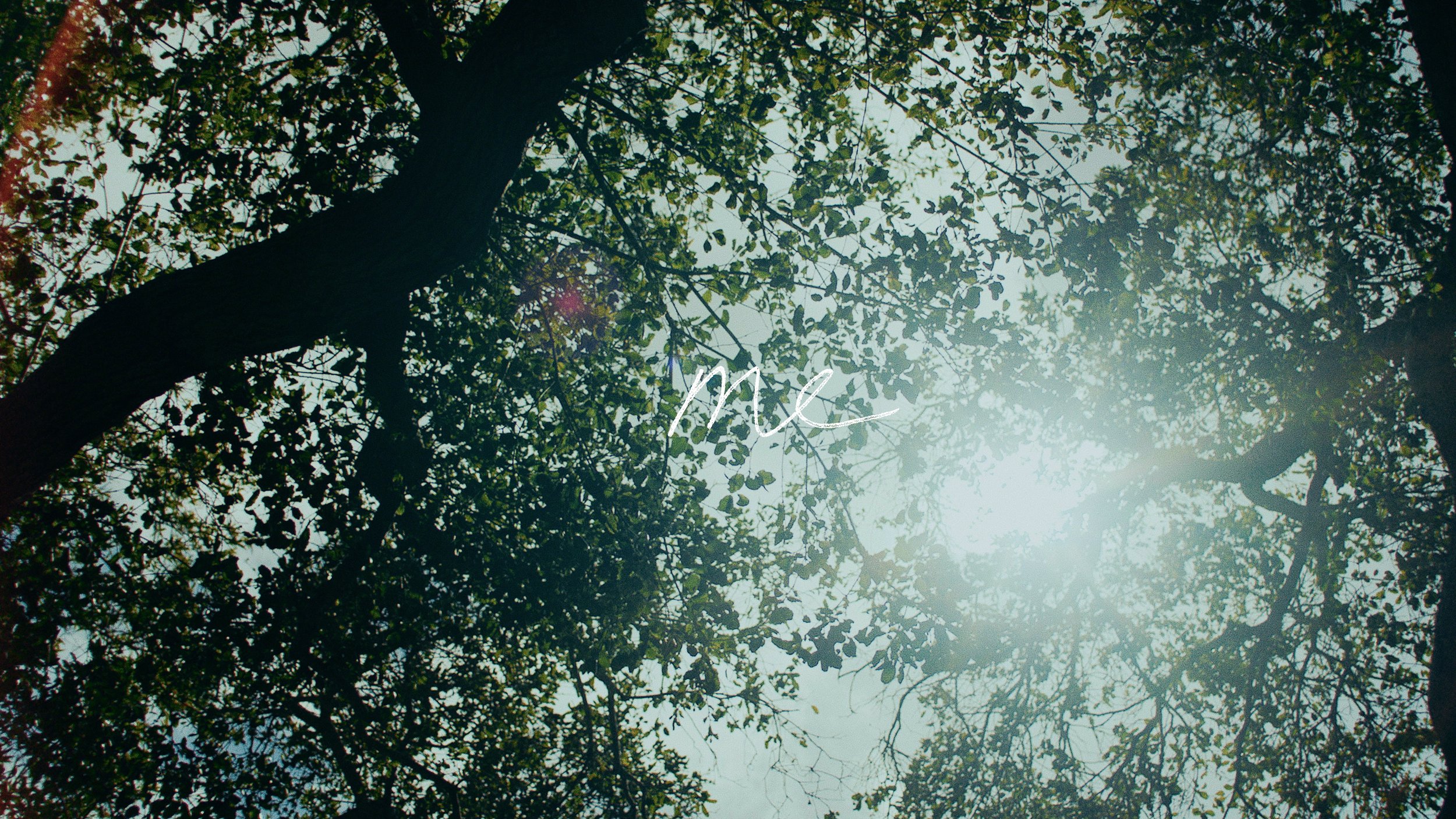 DC_Pieces_EP_Trailer_PRORES4444_UHD.mov.00_00_25_06.Still005.jpg