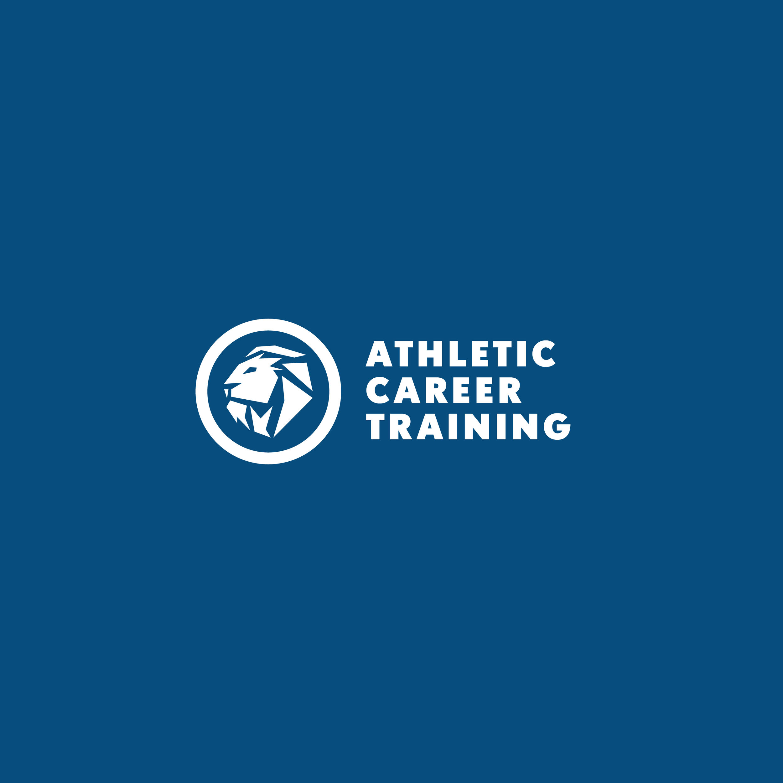 act logo landscape-04.png