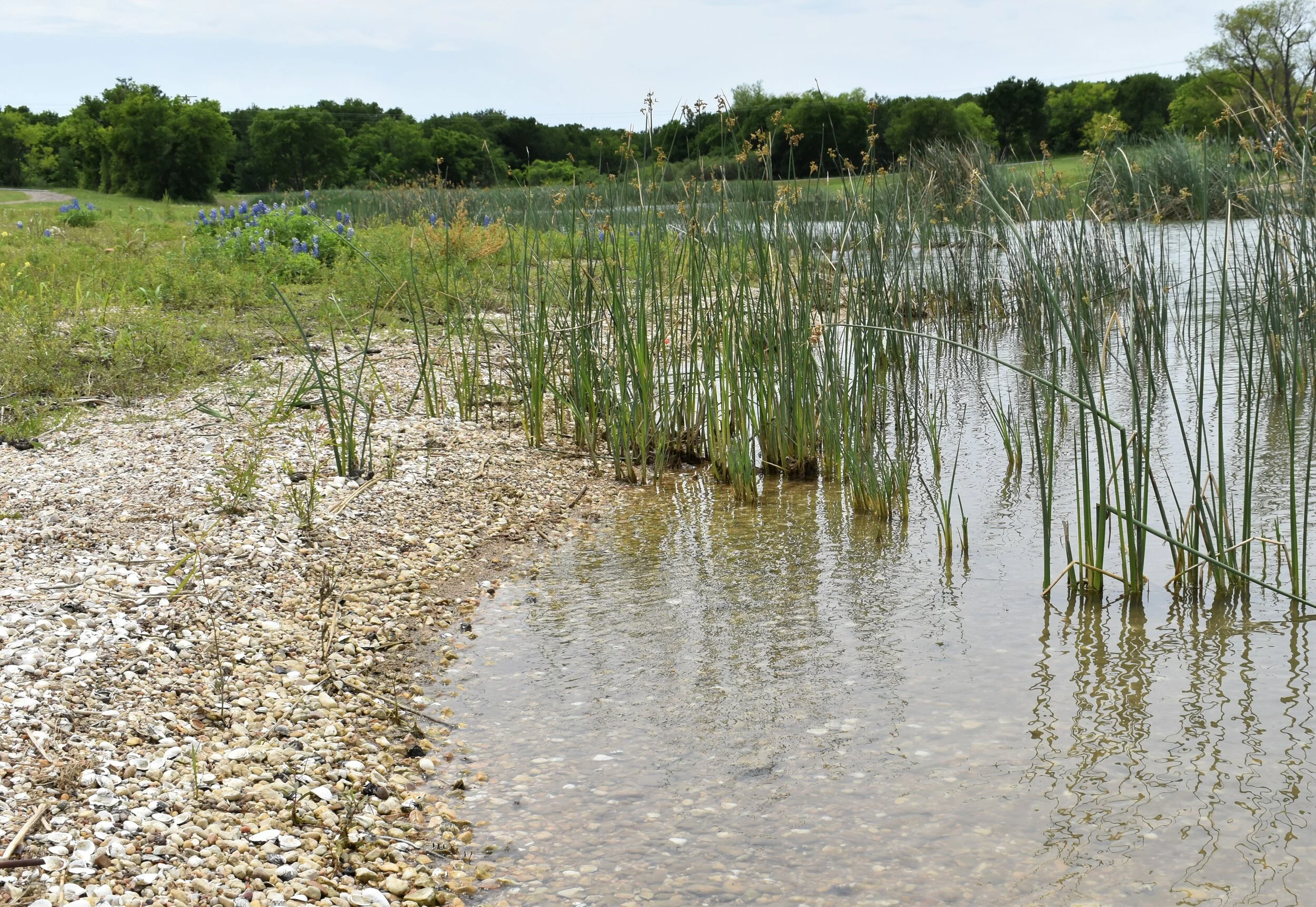 Tradinghouse Creek Reservoir