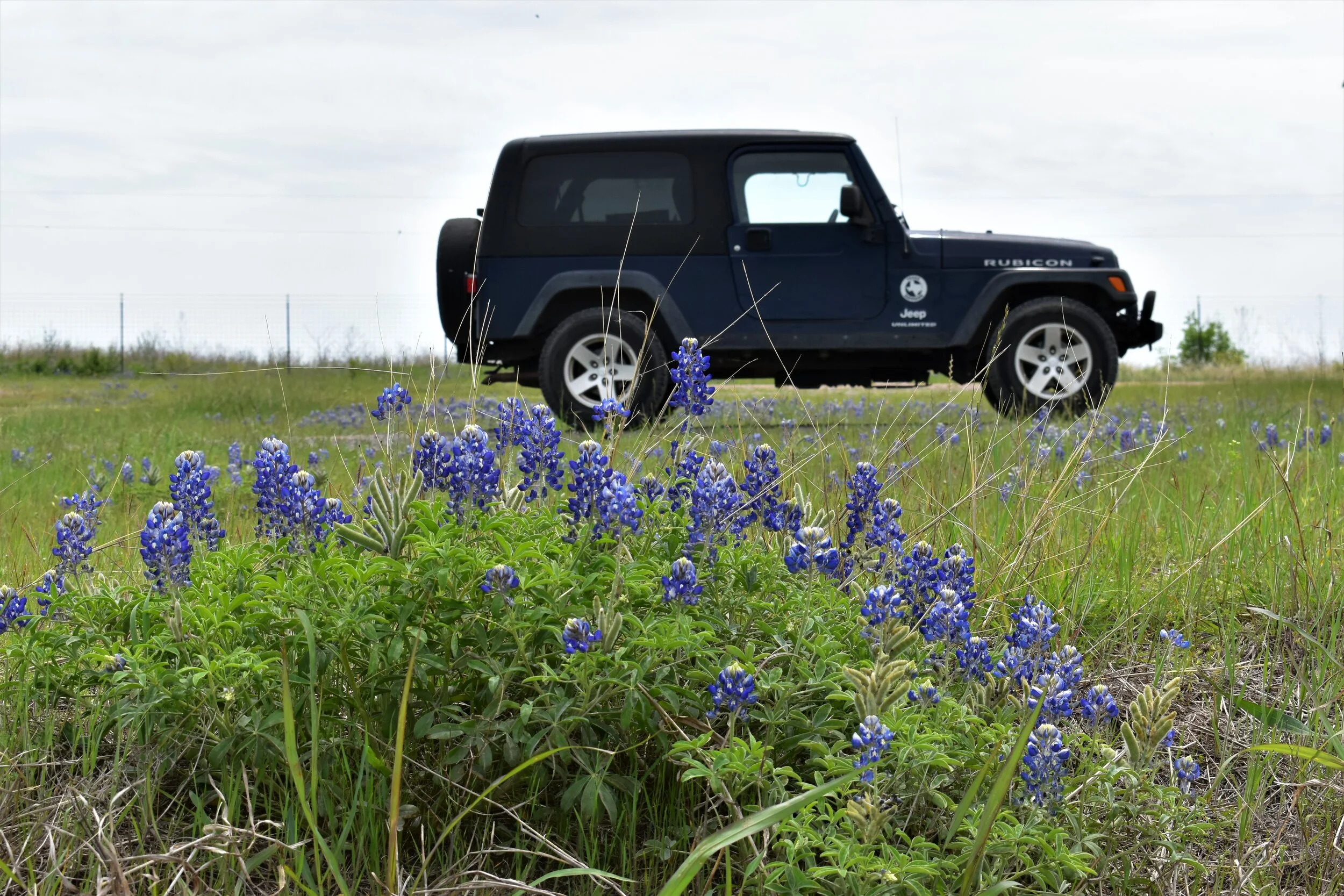 Tradinghouse Creek Reservoir & my Jeep