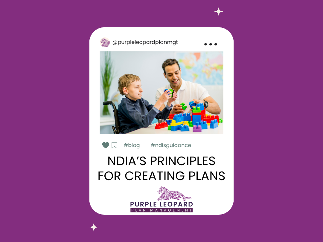 Principles the NDIA Follows Creating Plans
