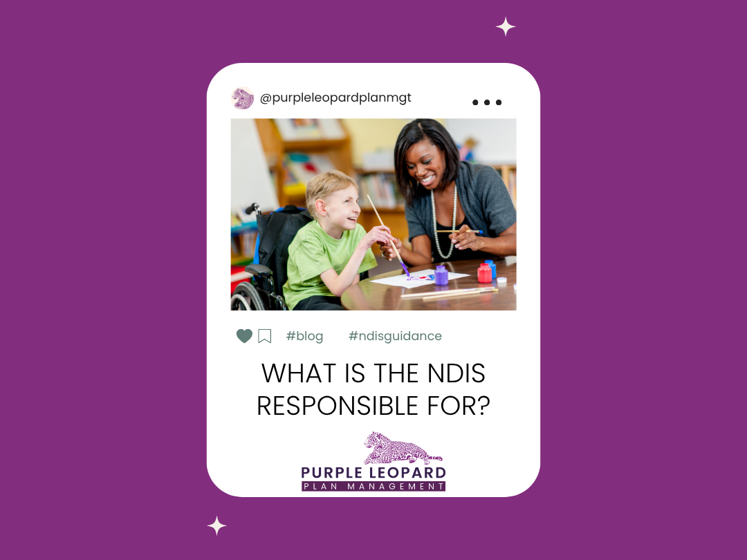 What is the NDIS Responsible For?
