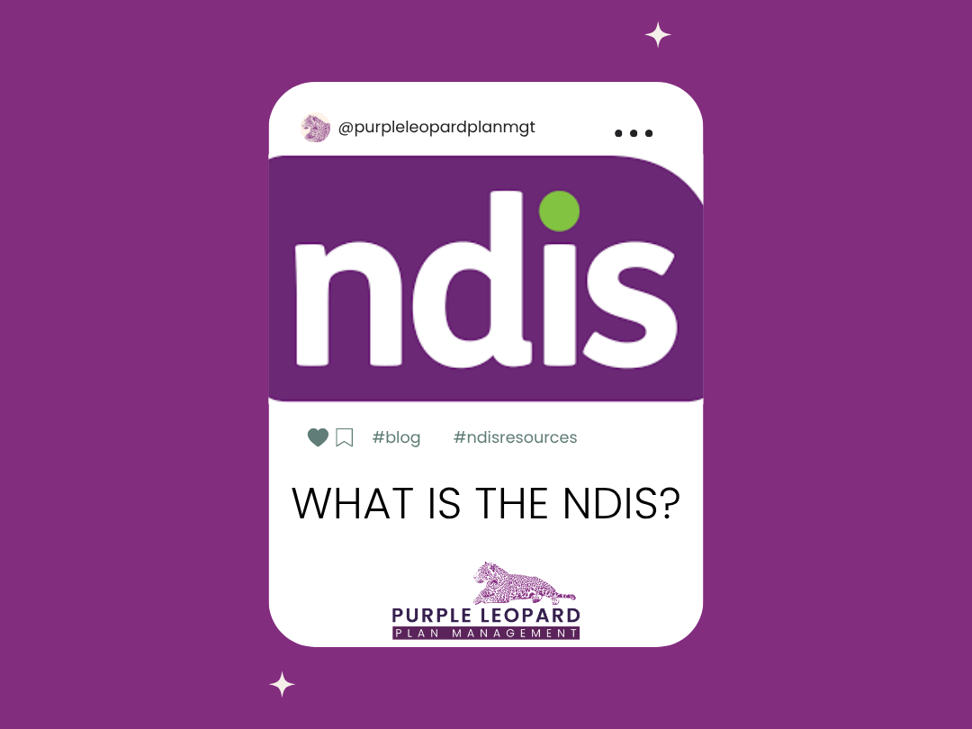 What is the NDIS?