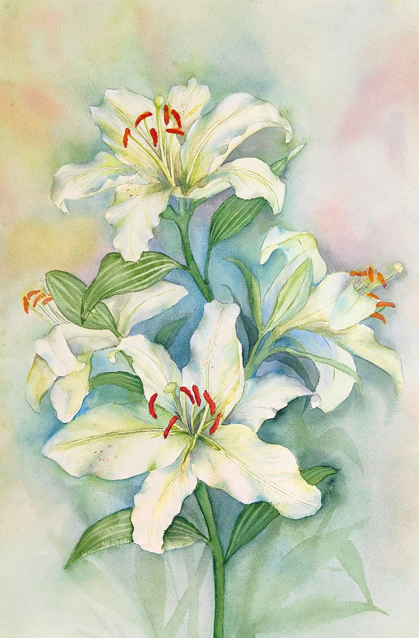 Grace & Beauty