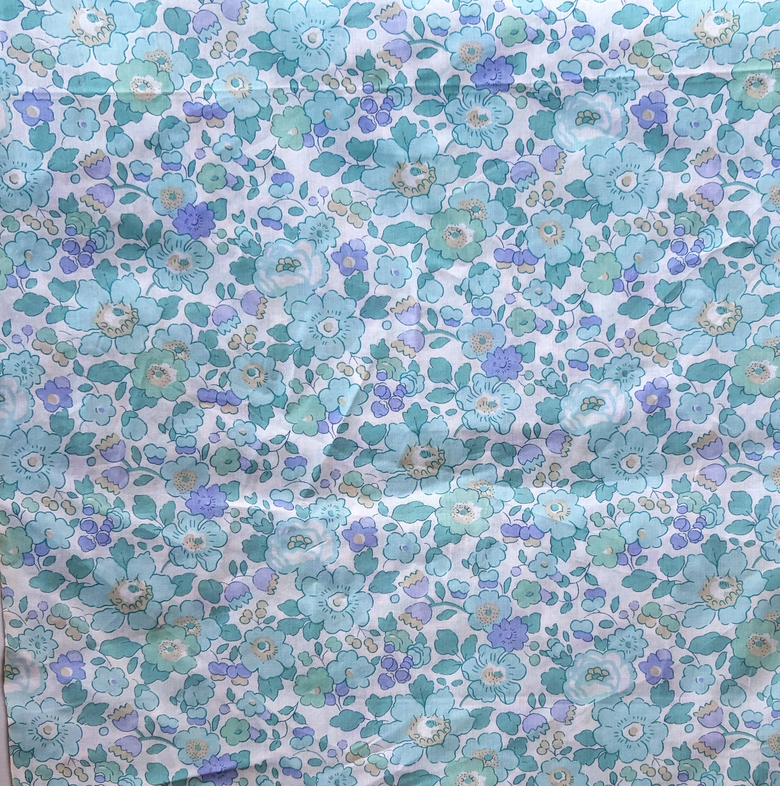 IMG_8060 - Copy (2).JPG