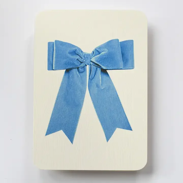 Baby blue velvet bow blank card