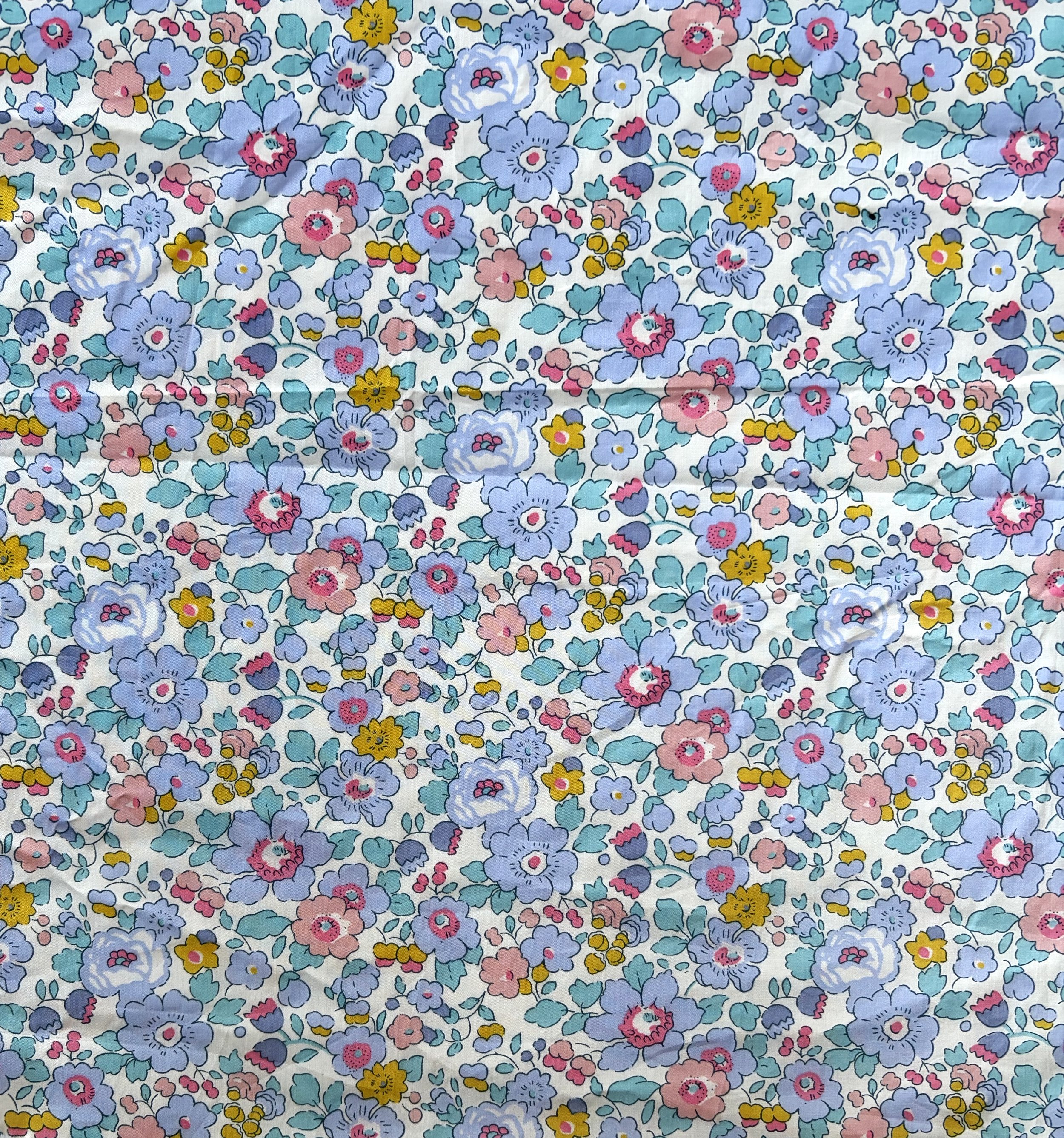 IMG_8049 - Copy (2).JPG