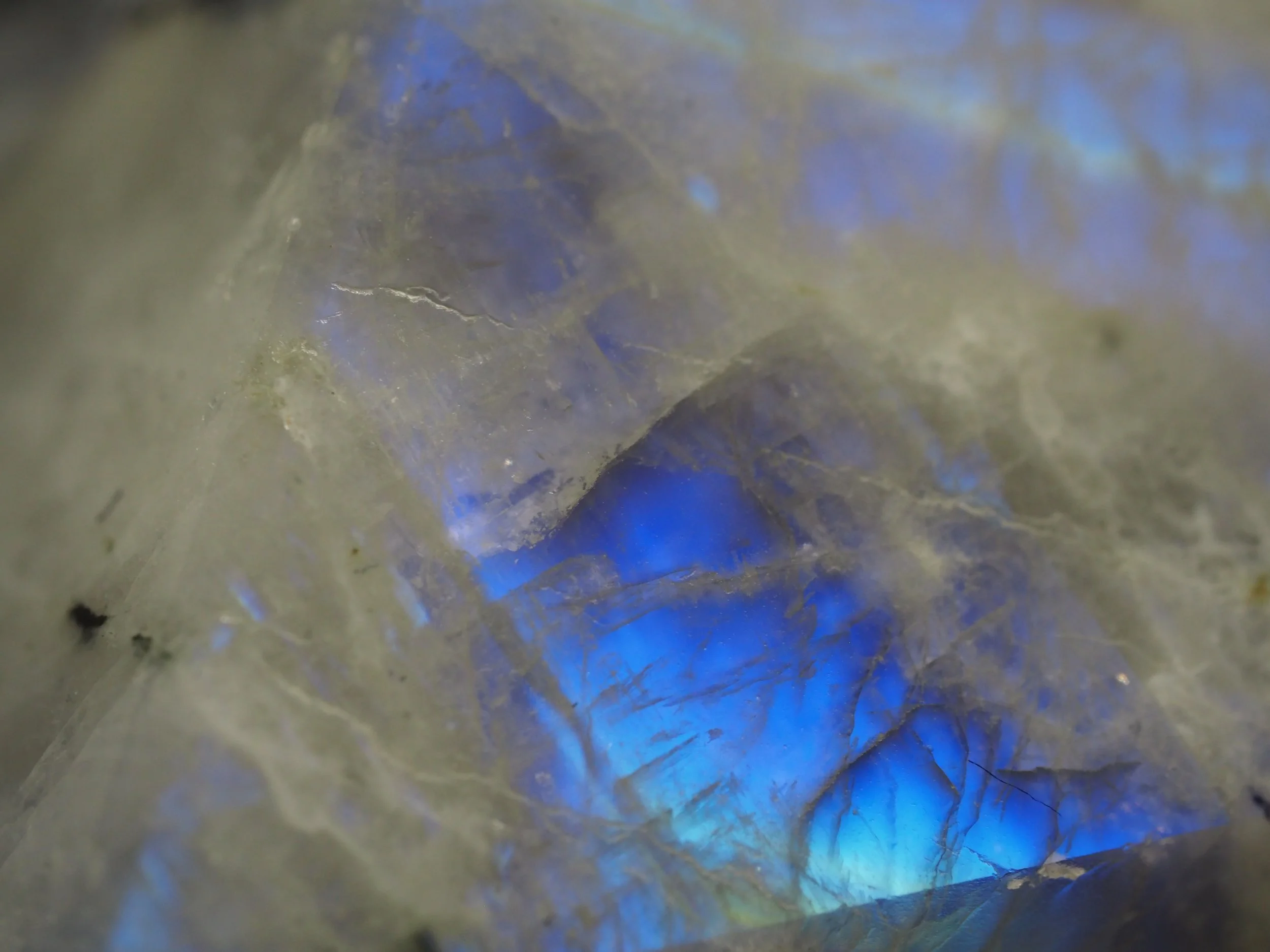 Moonstone Bracelet 6mm