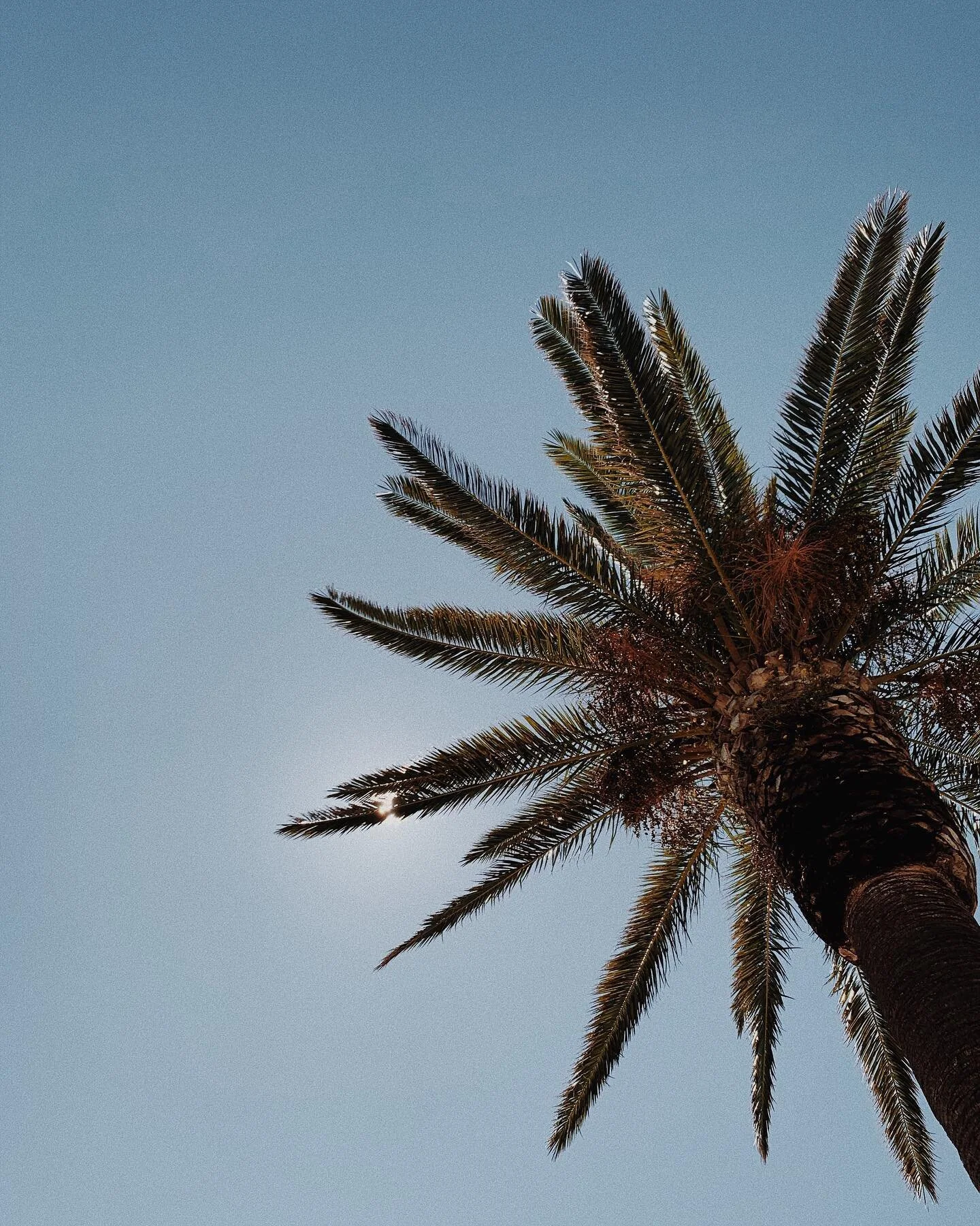 Aujourd&rsquo;hui nous devenons Ciotadens🌴 { fiers habitants de La Ciotat }
.
Nous n&rsquo;avons pas encore notre Maison Acacia mais pour bien s&rsquo;impr&eacute;gner de notre futur quartier et surtout vivre pr&egrave;s de l&rsquo;&eacute;cole de J
