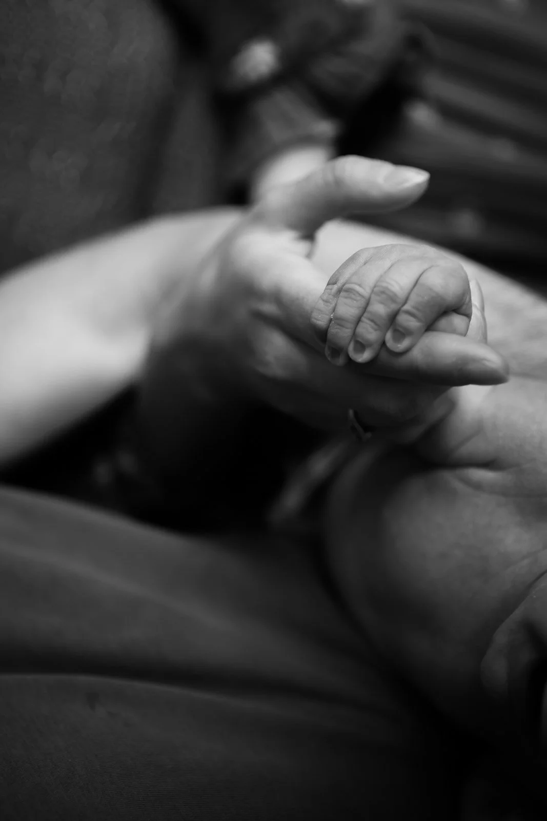 new baby clasps finger of parent