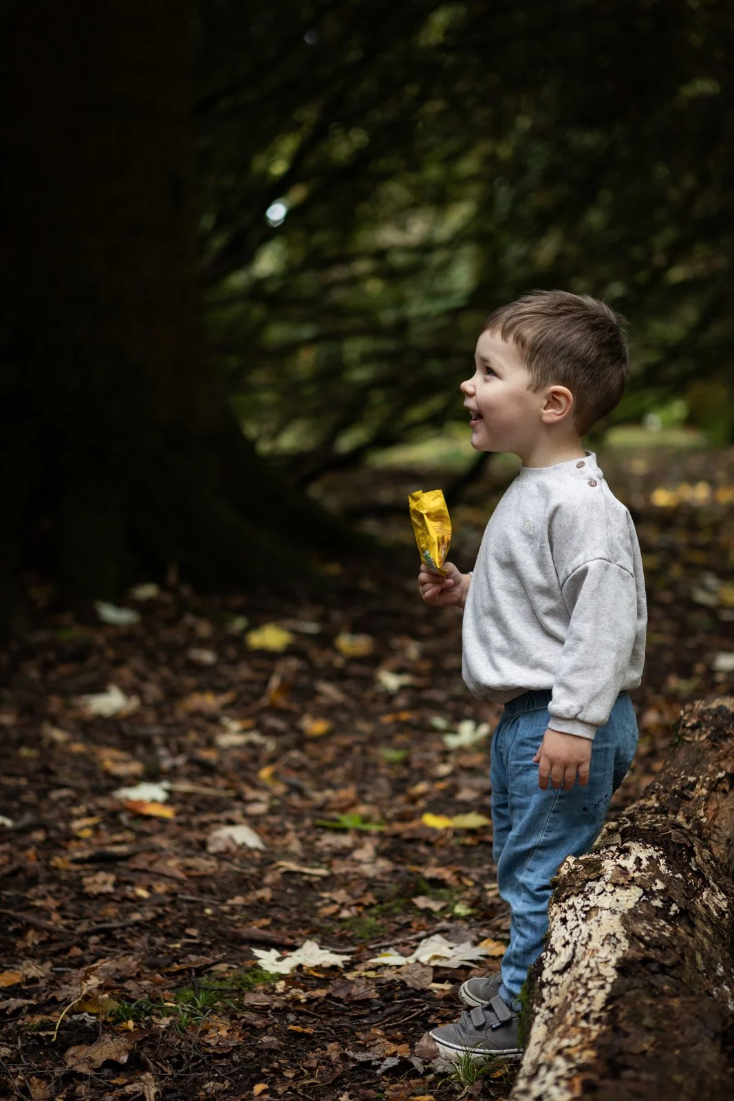 portrait of brother who is standing in forest eating a packet of sweets and smiling