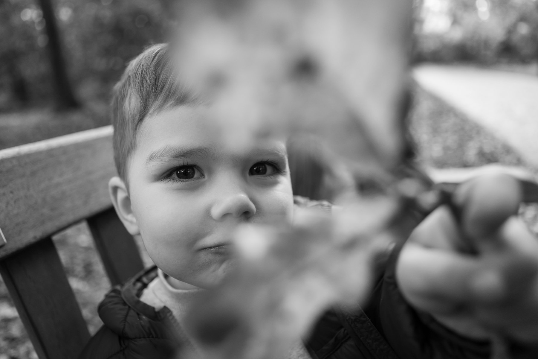brother looking through leaf at Cardiff Park Autumn family photoshoot