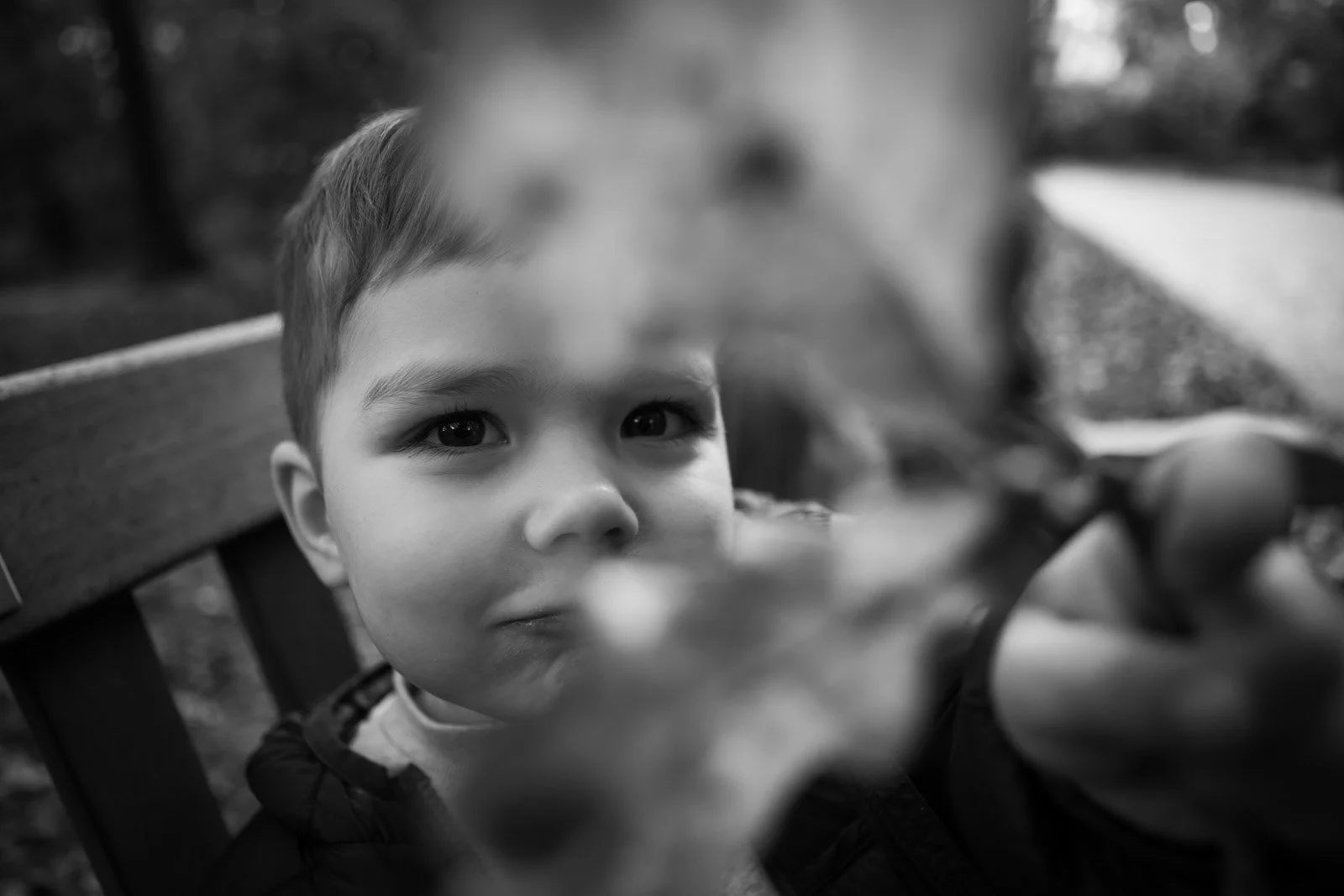 brother peeks through a leaf whilst holding it in front of his face