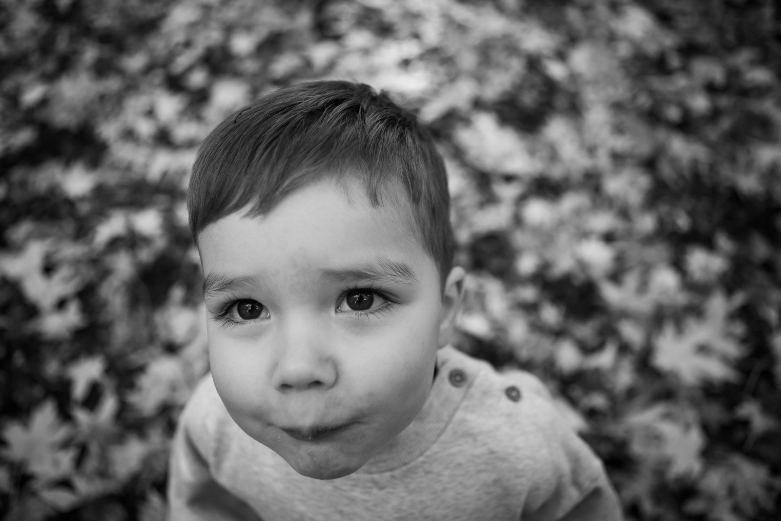 little boys gazes up at the camera with leaves on ground behind him
