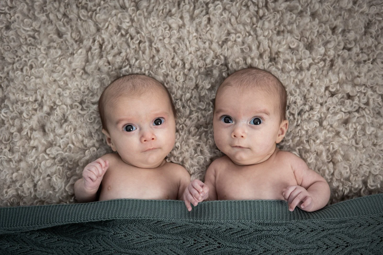 newborn twins gazing up during baby photography shoot