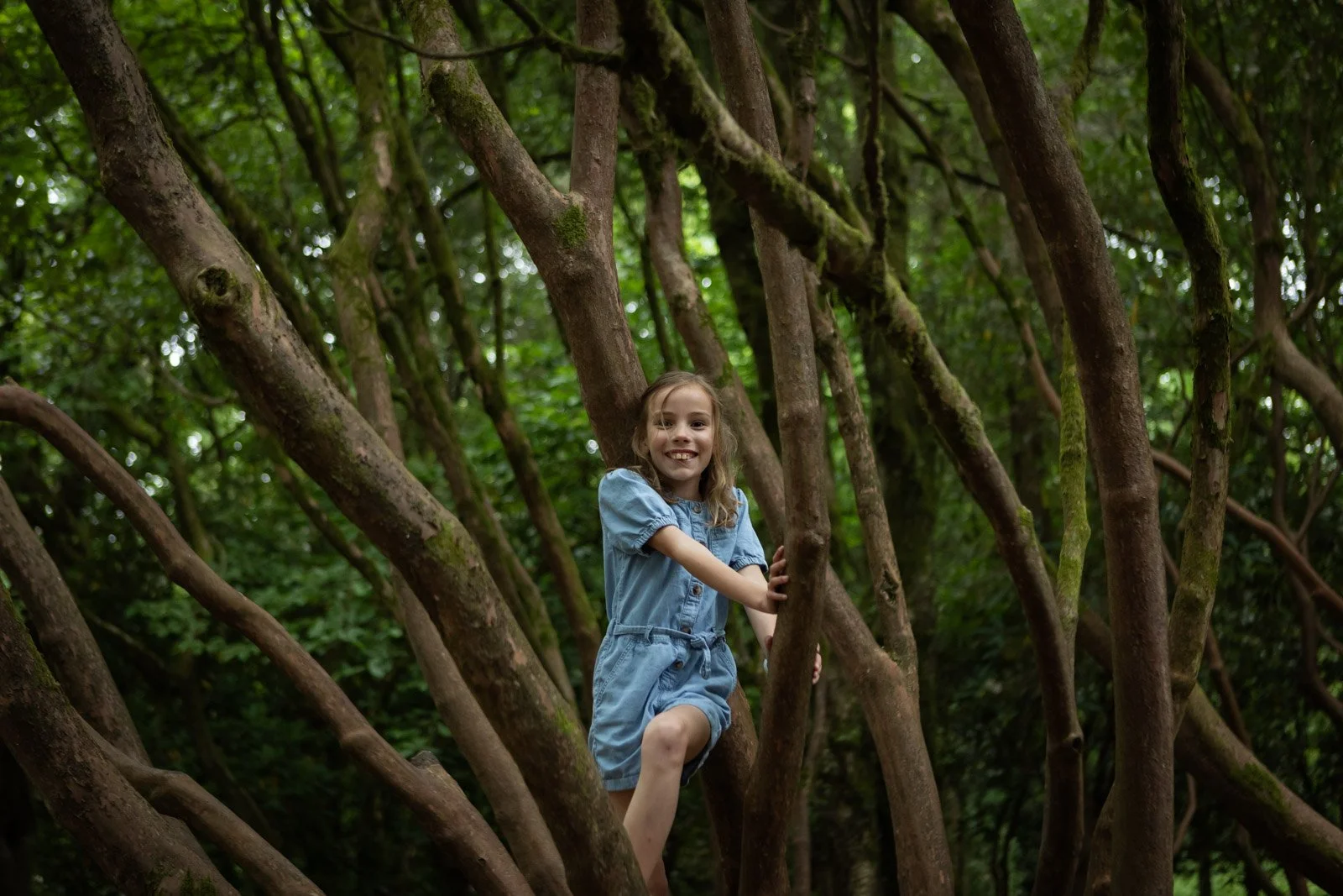 girl climbing tree and smiling