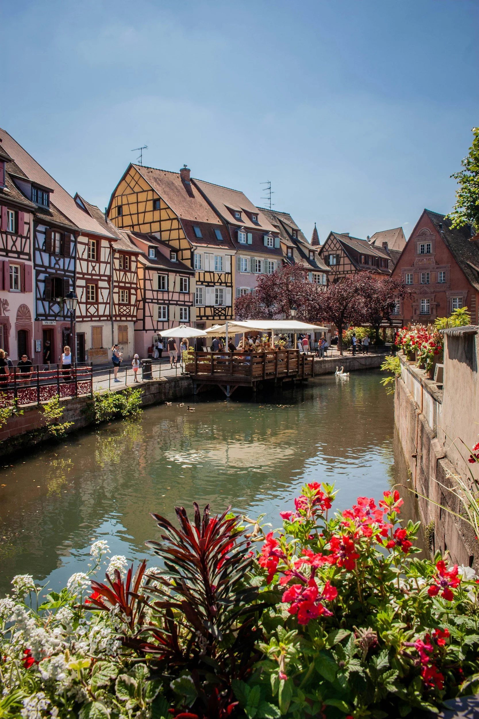 Colmar Elopement Package - Elope in France