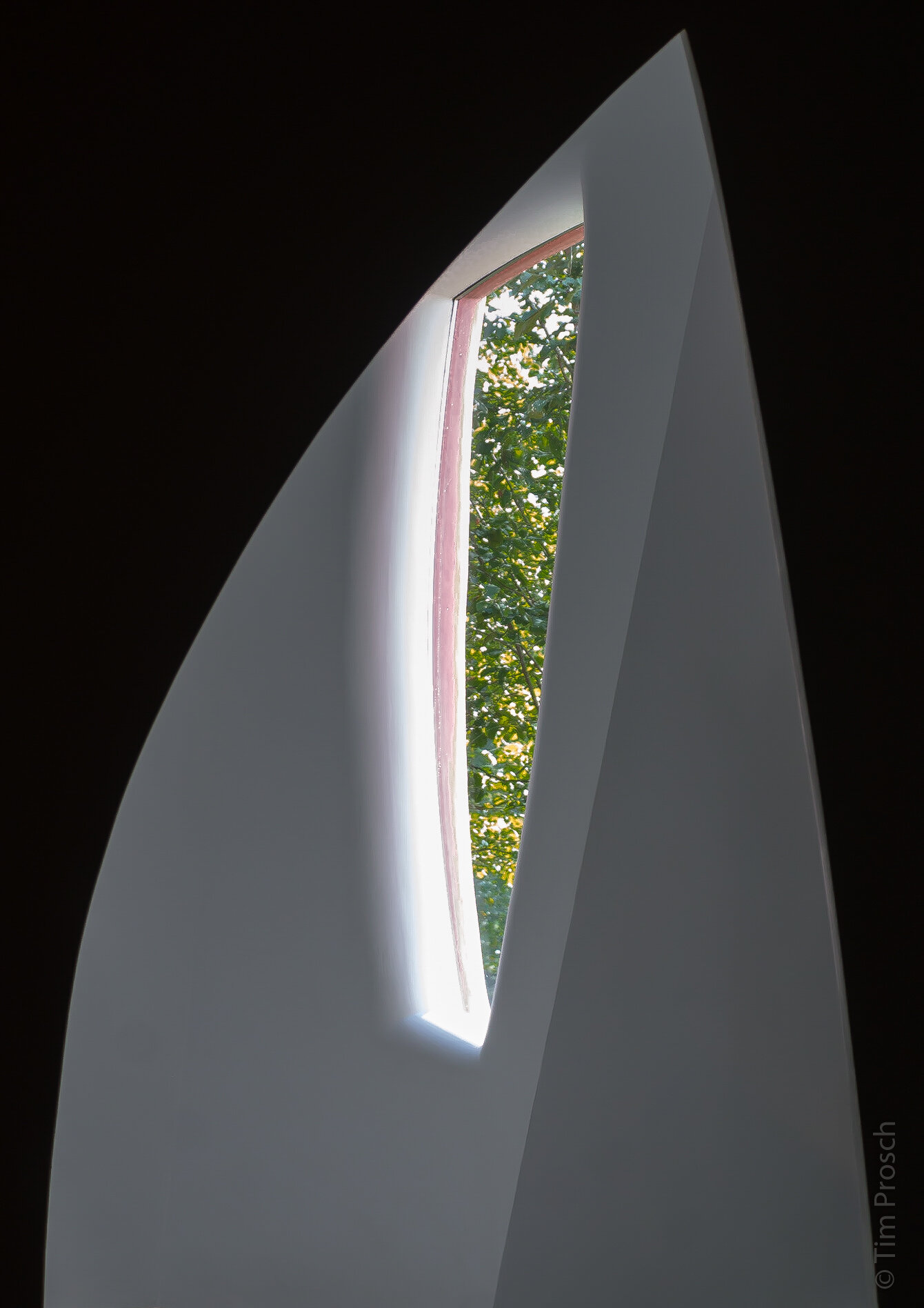 15. View from Philip Johnson's office.jpg