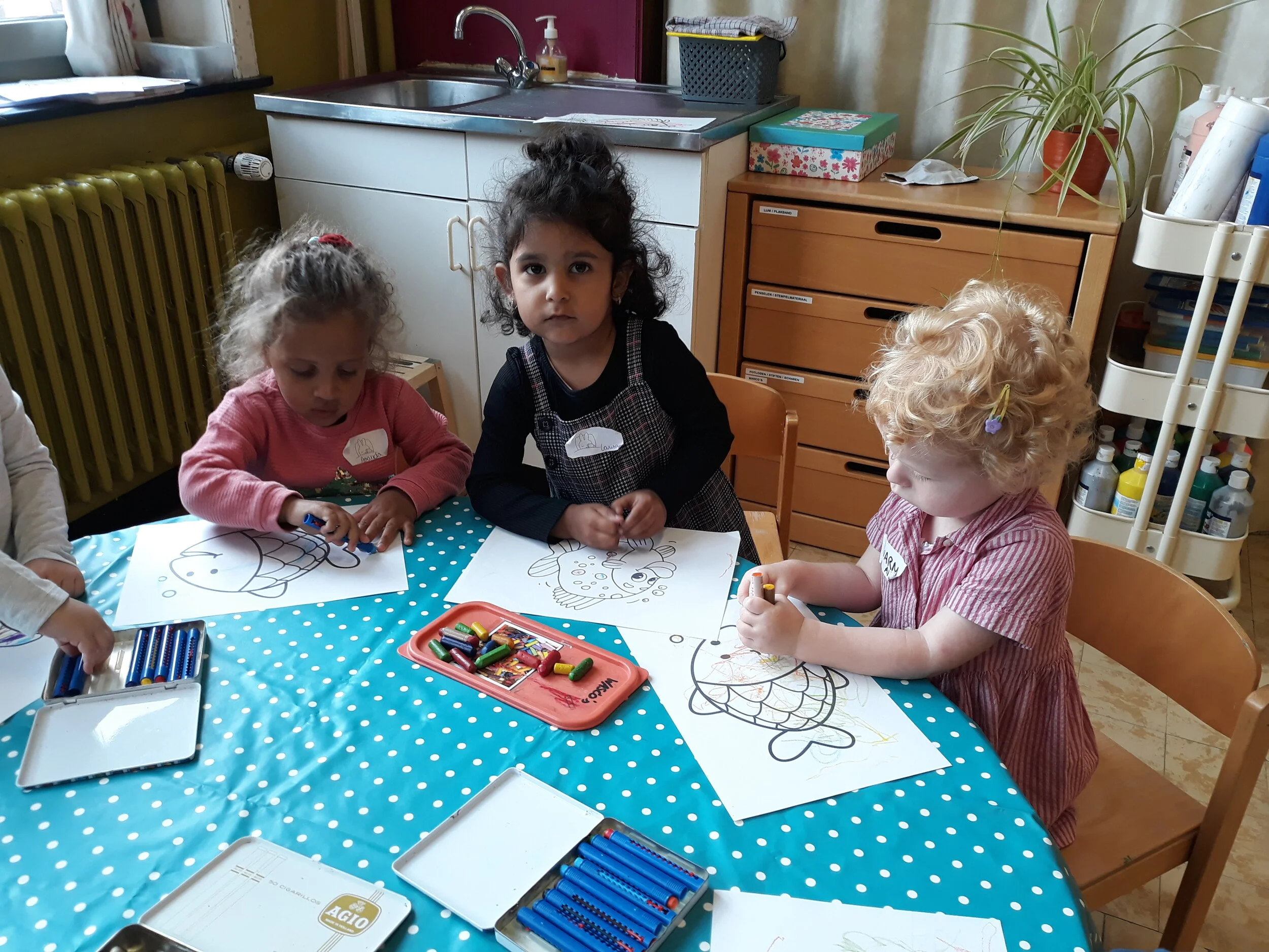 Welkom in de vissenklas