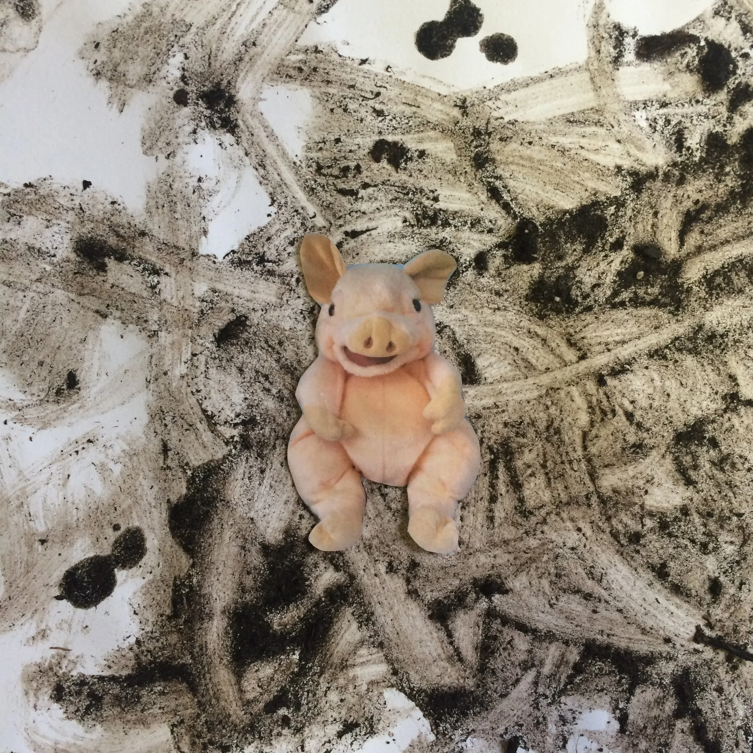 Knorrie in zijn modderbad