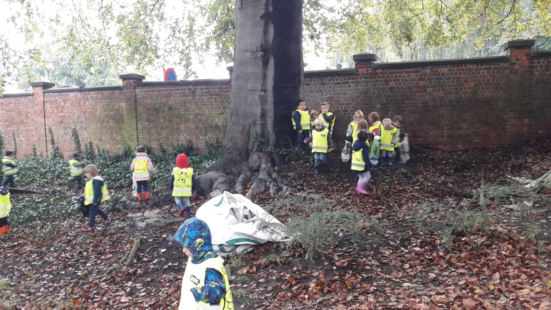 IA, IB, IC en ID in het bos