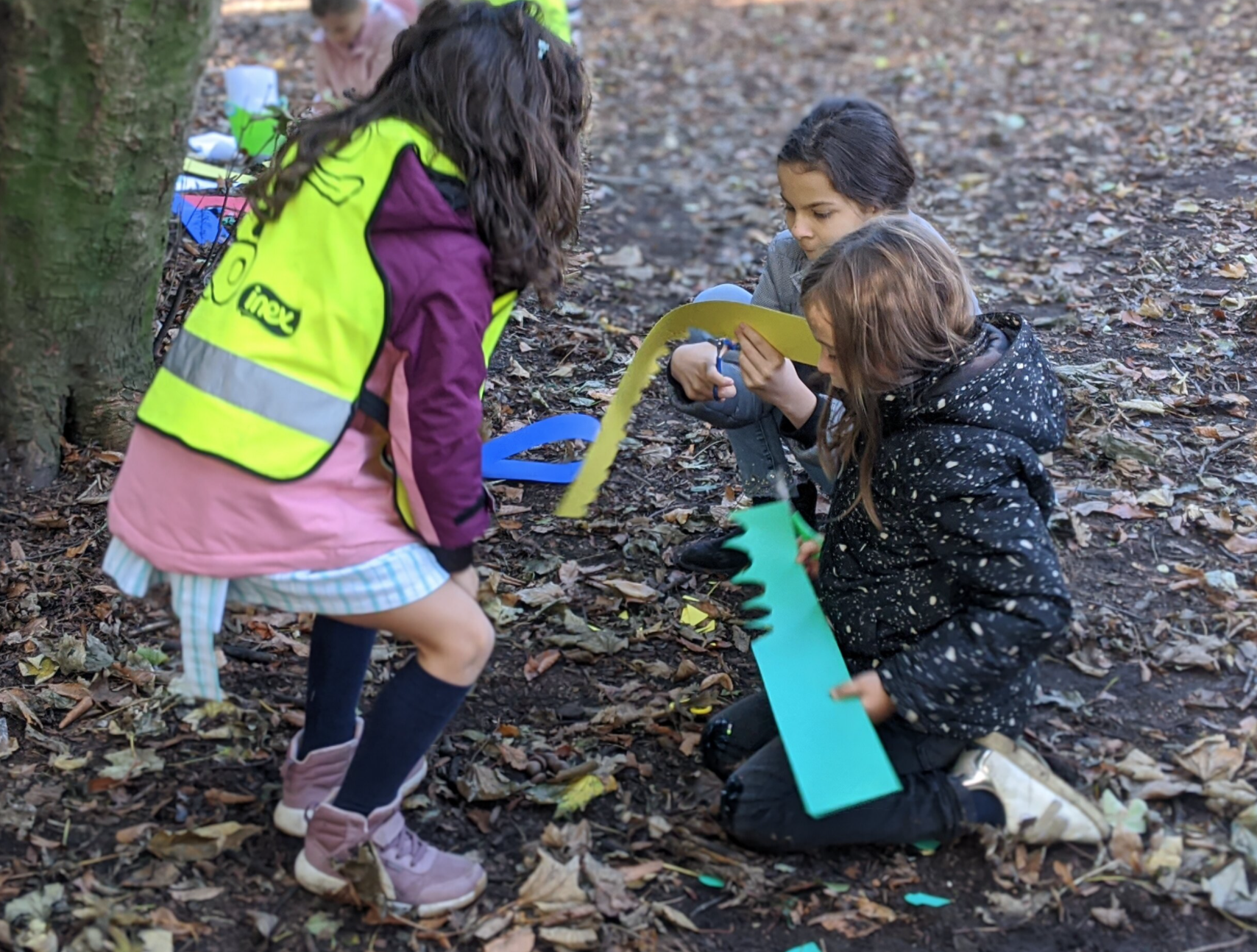 Samen met IIIA naar het bos - 3C