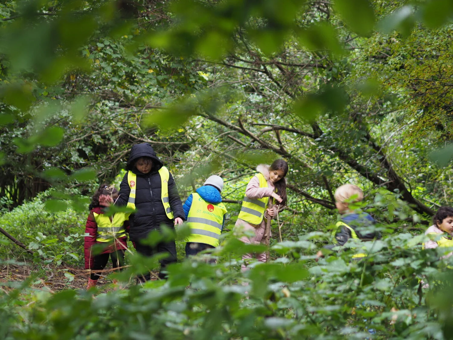 4C en de Kikkerklas gingen samen naar het bos 