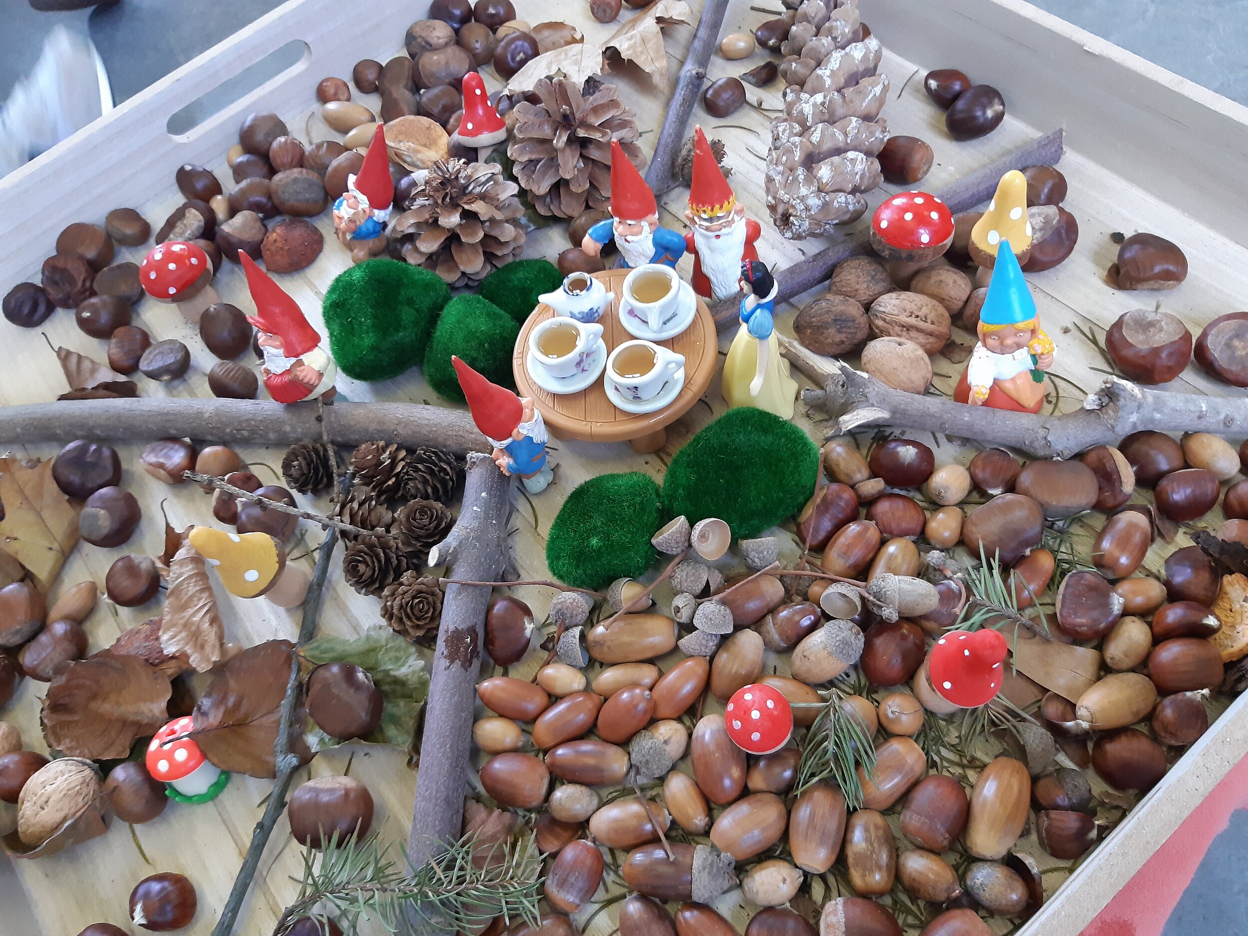 Thema herfst en kabouters in de zebraklas: