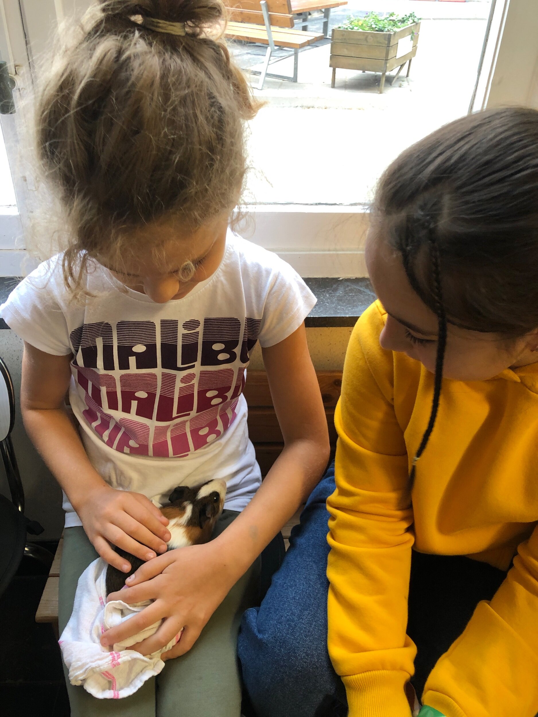 Pannenkoeken bakken en de cavia’s van Suzanne op bezoek!