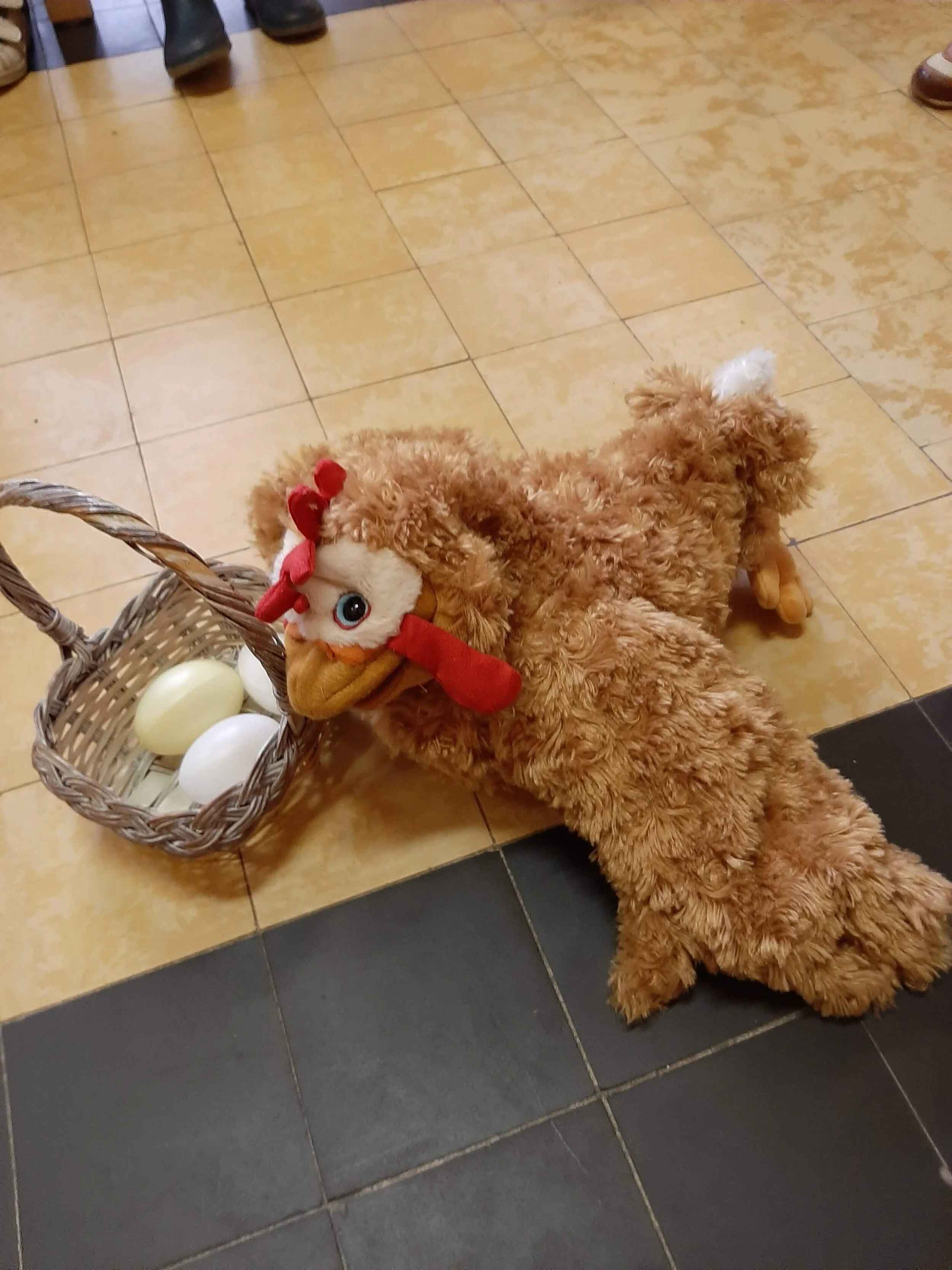 Kot, kot, kedei, wie komt er uit een ei? (IA &amp; IB)