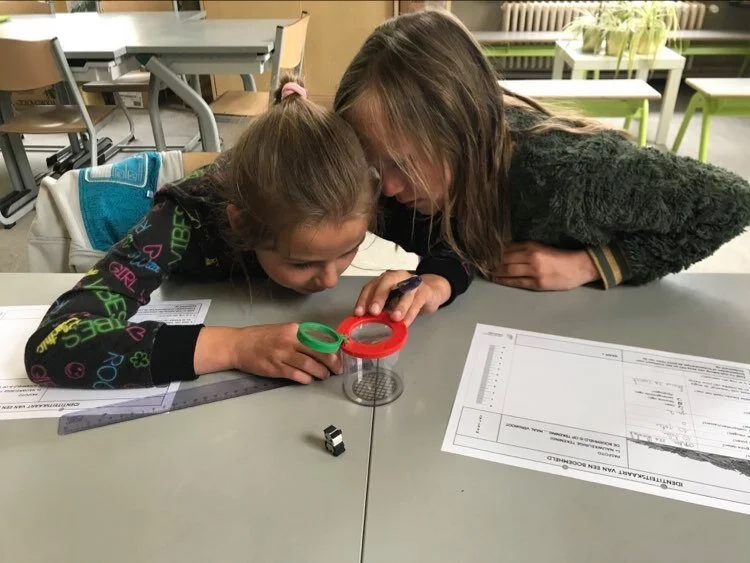 4C onderzoekt de bodem en de bodemdiertjes