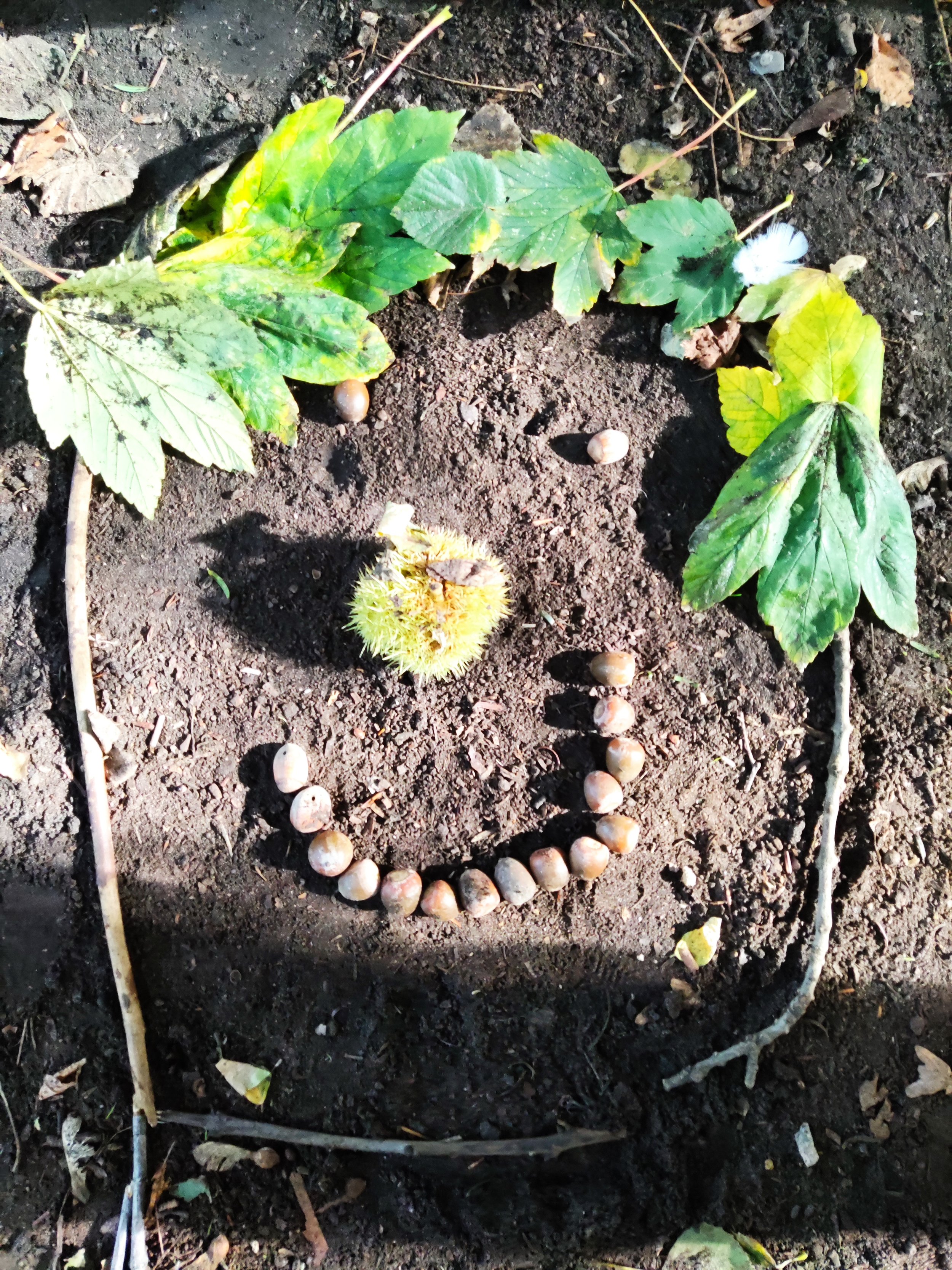 Herfst in de vlinderklas