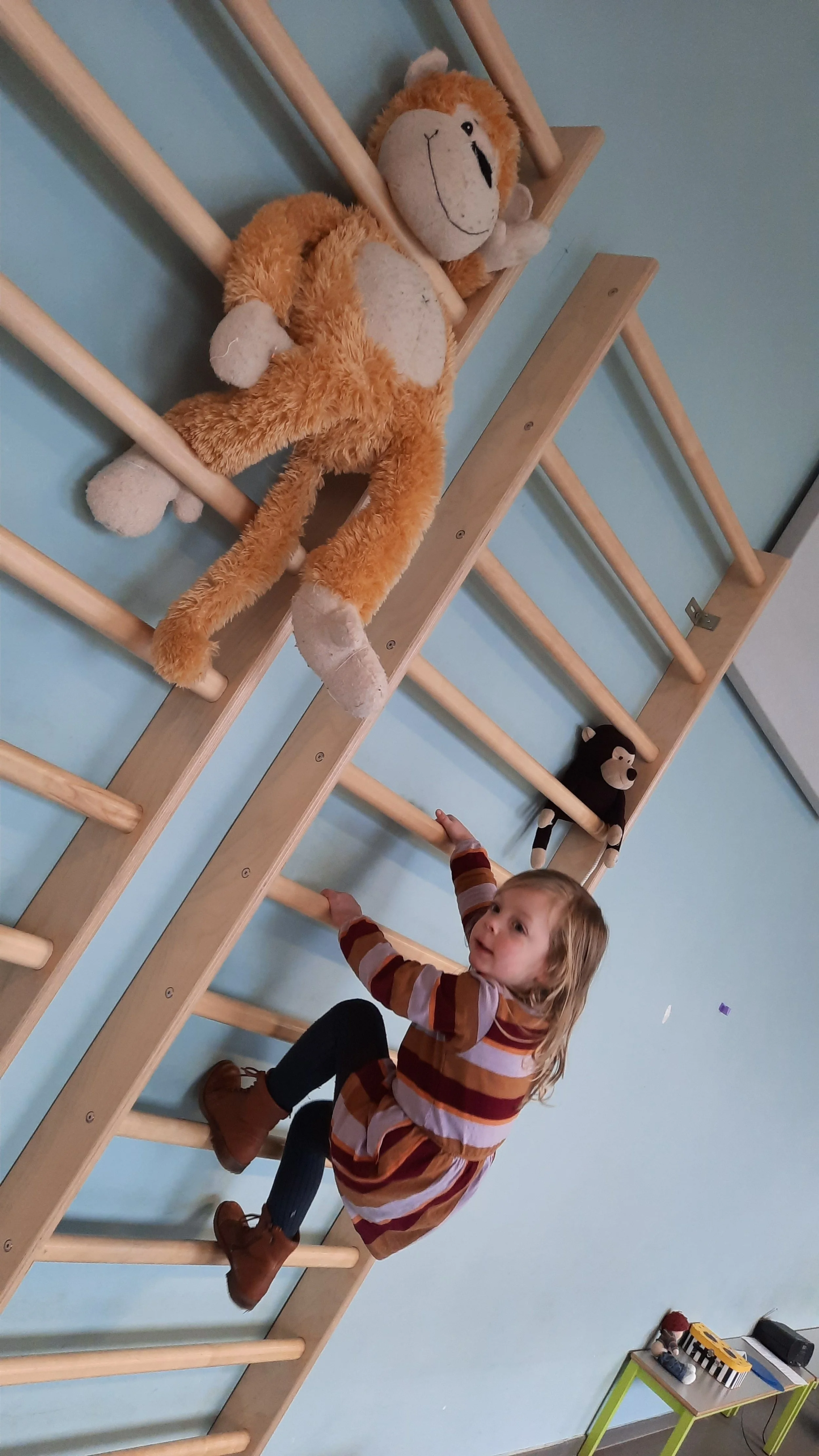 Sporten jongste kleuters - een beestig begin van het nieuwe jaar