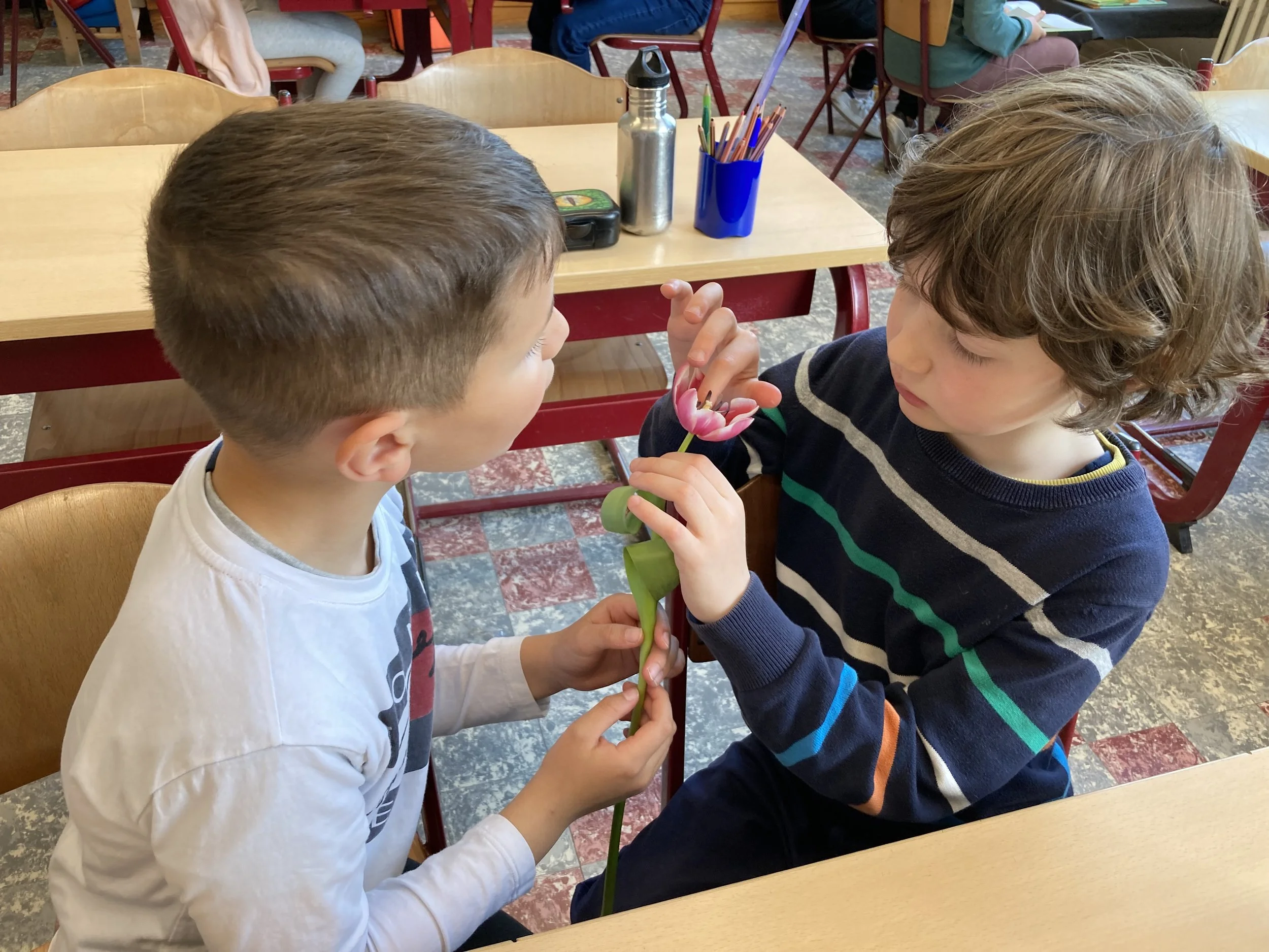 We laten de lente binnen in 2C