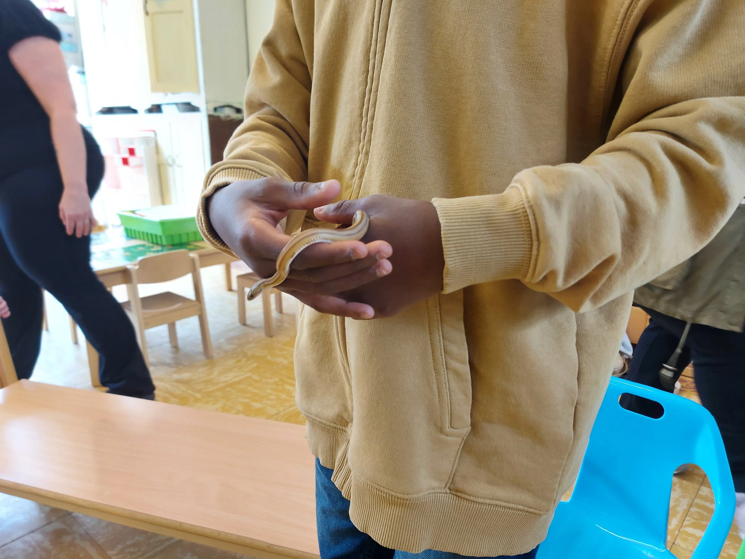 Een slang in de eerste kleuterklas