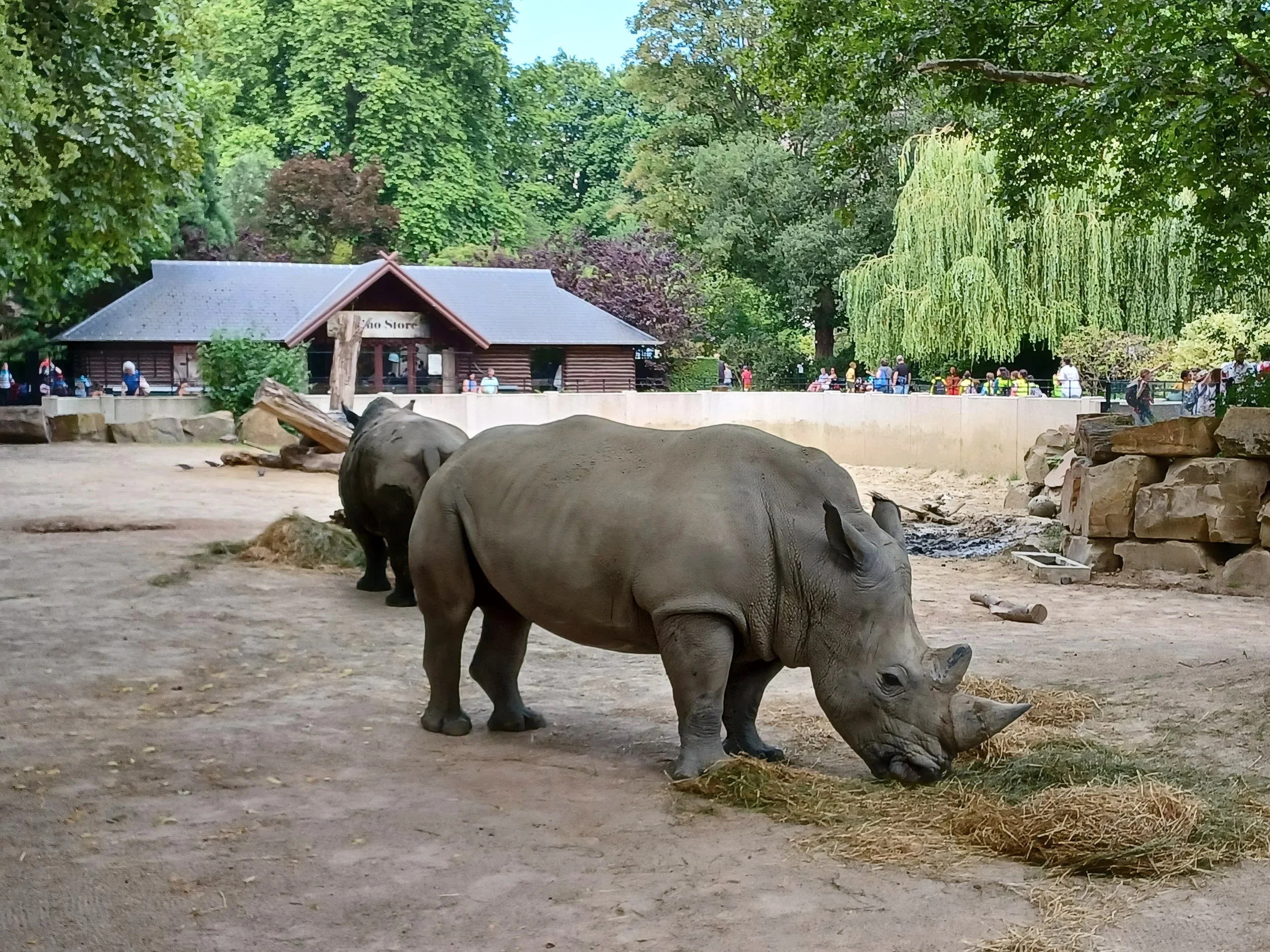 Schoolreis tweede leerjaar