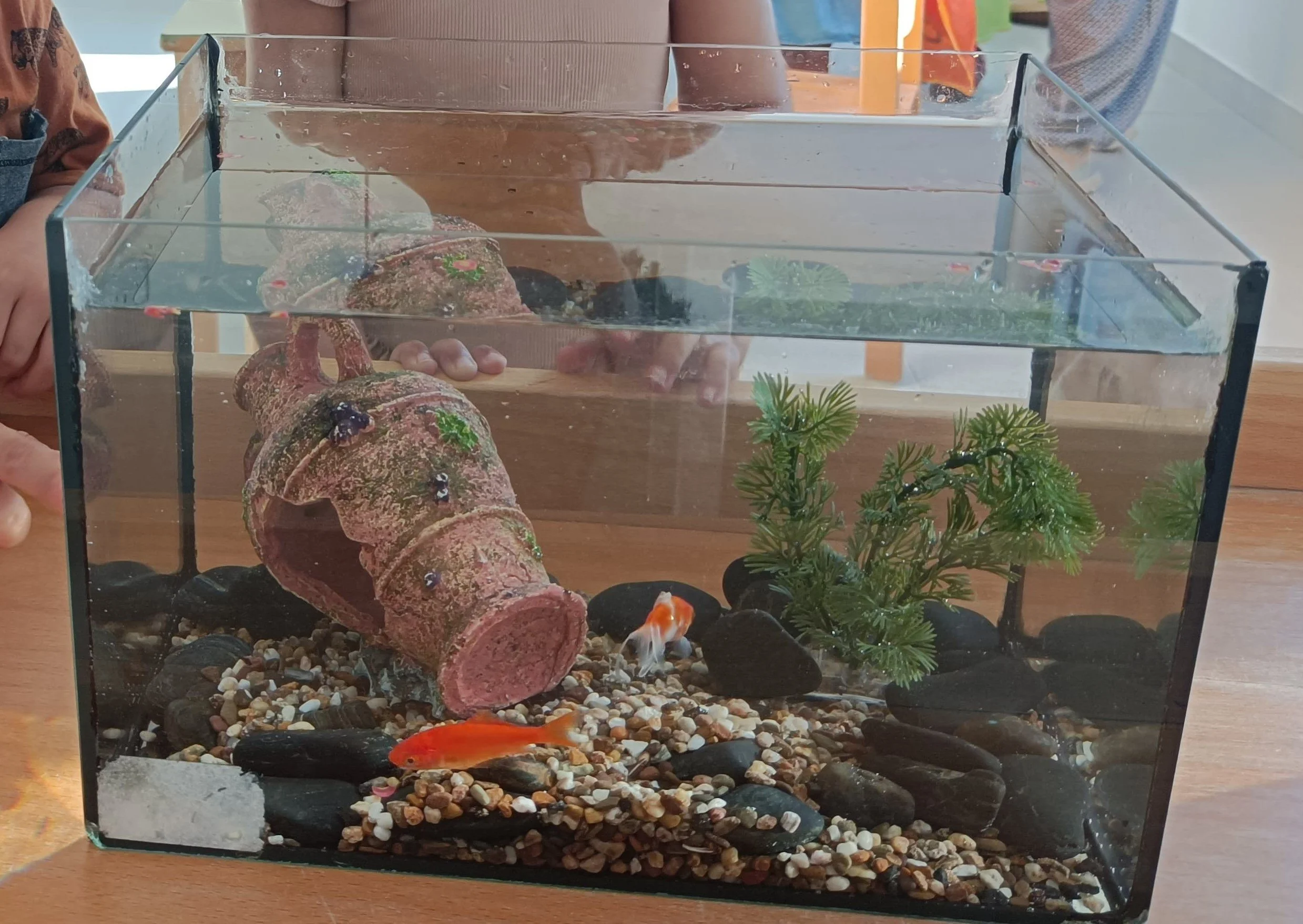 Welkom in de klas (IA/IB) 