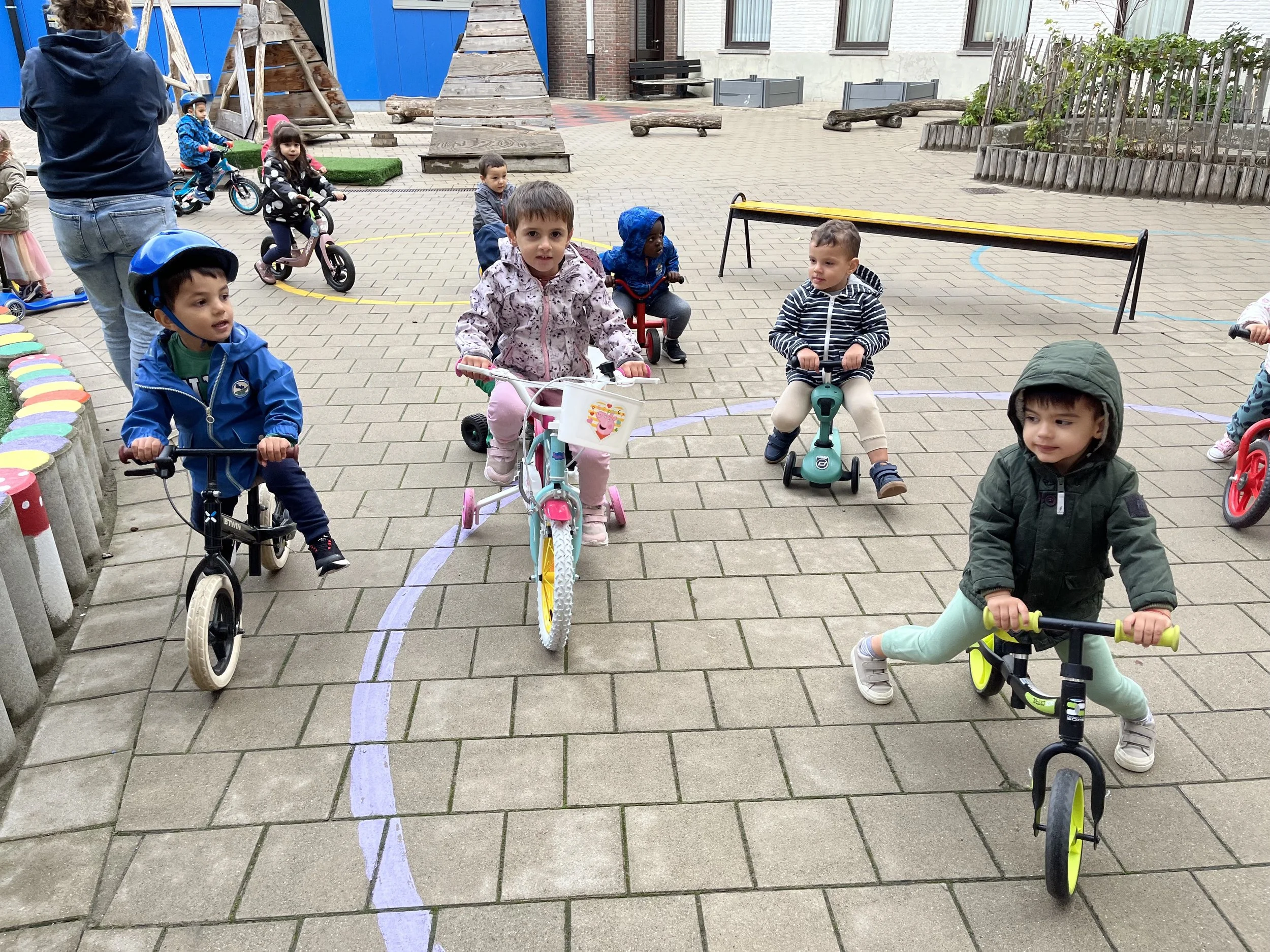 Lieveheers-   beestjes strappen