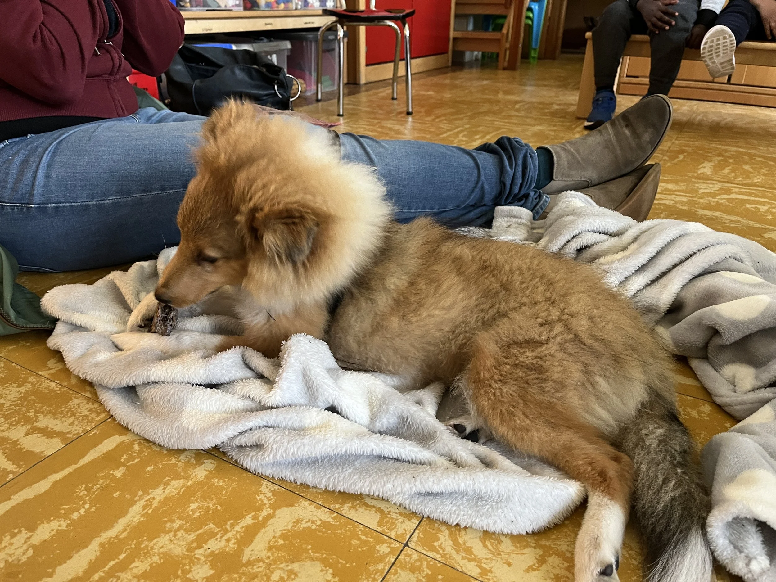 Viggo op bezoek in de Lieveheers-beestjesklas