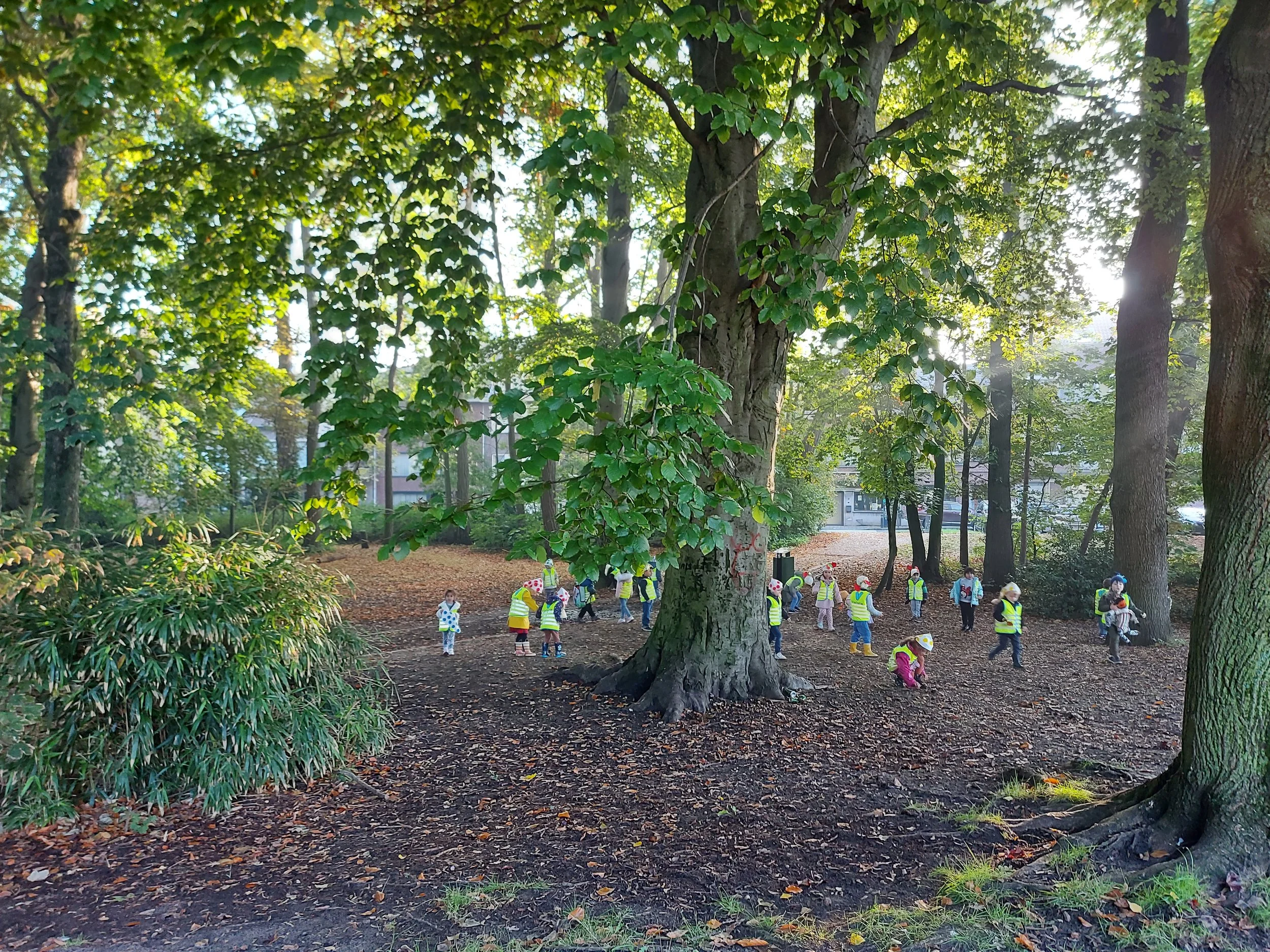 Kabouterwandeling voor IIA en IIB