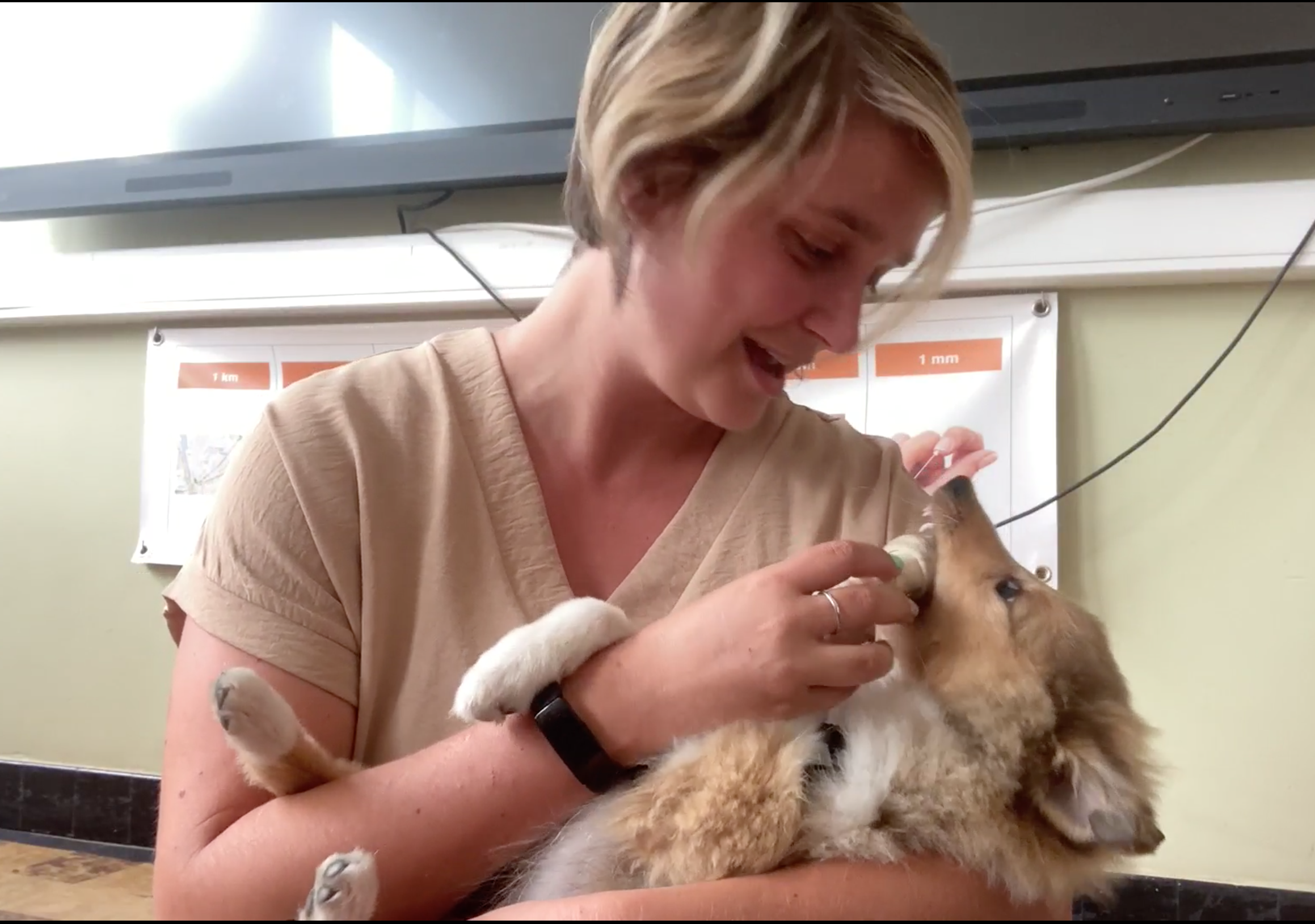 Schoolhond Viggo op bezoek in IIA