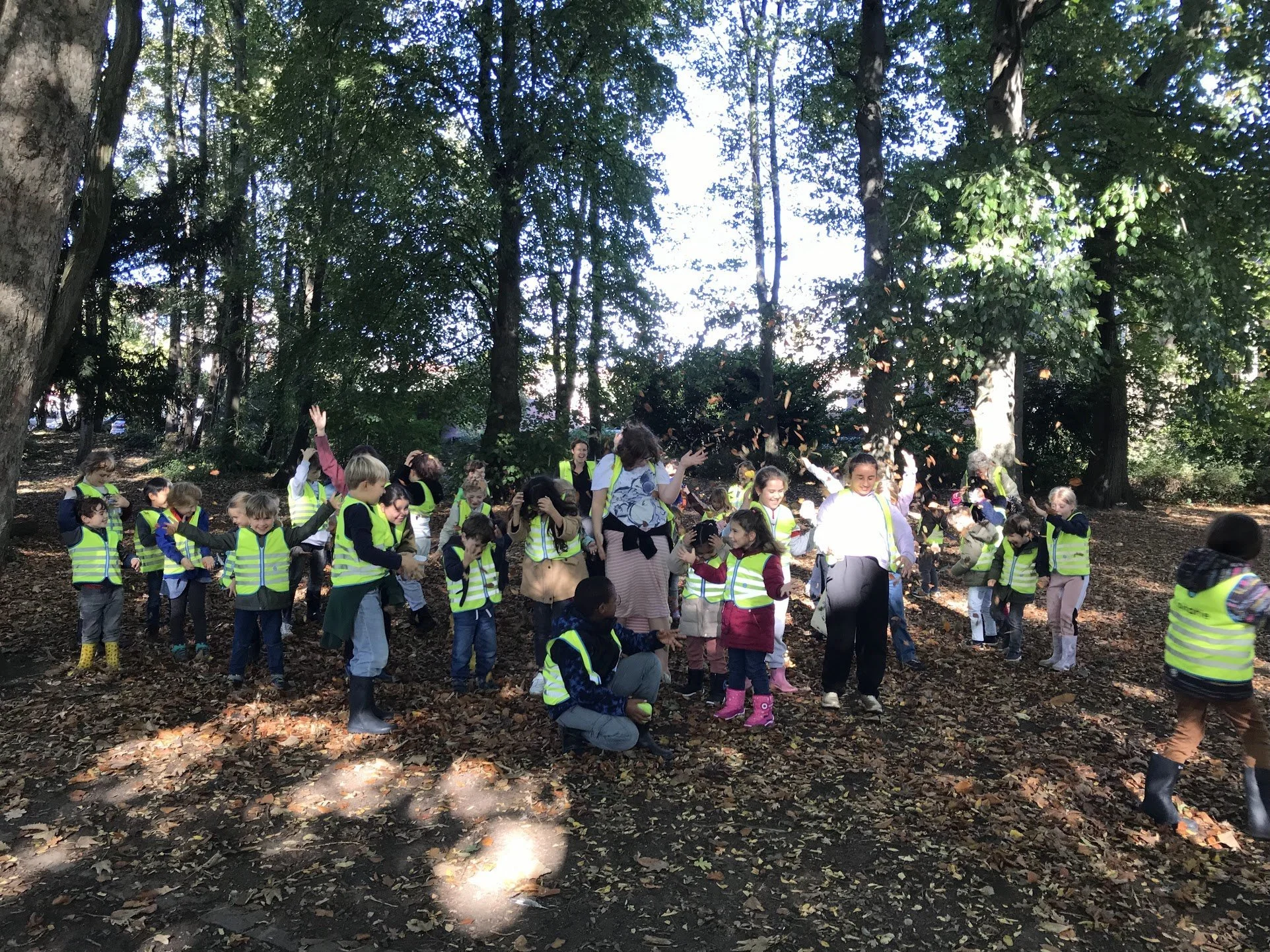 IIA, 5C en 2C op uitstap voor de ‘Week van het bos’