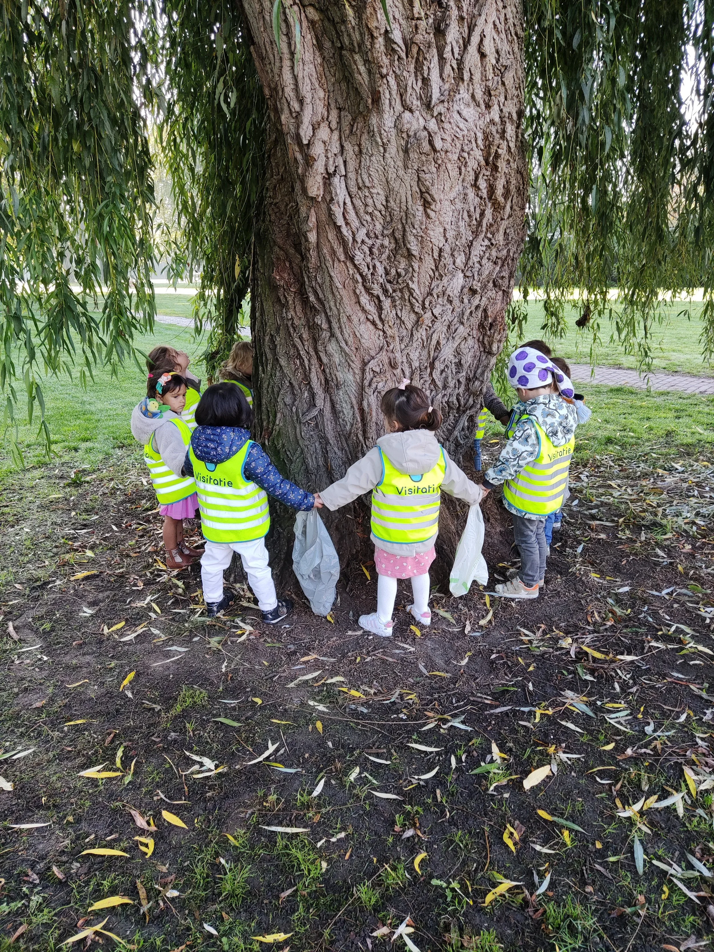 De vlinders vinden bollen en herfstschatten!