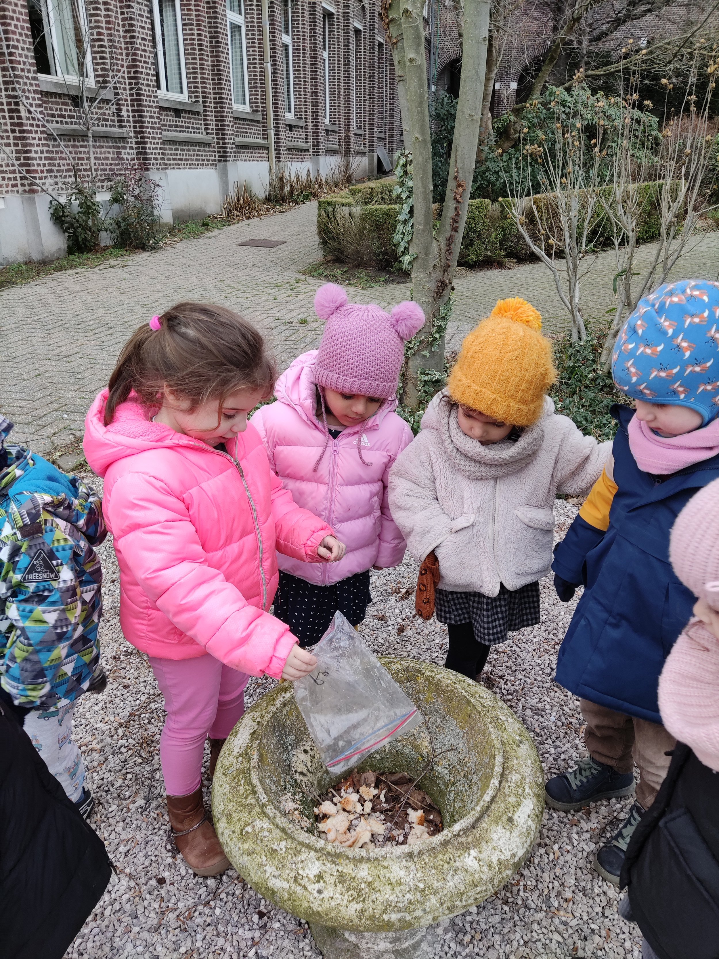 De vlinders dragen zorg voor de vogels