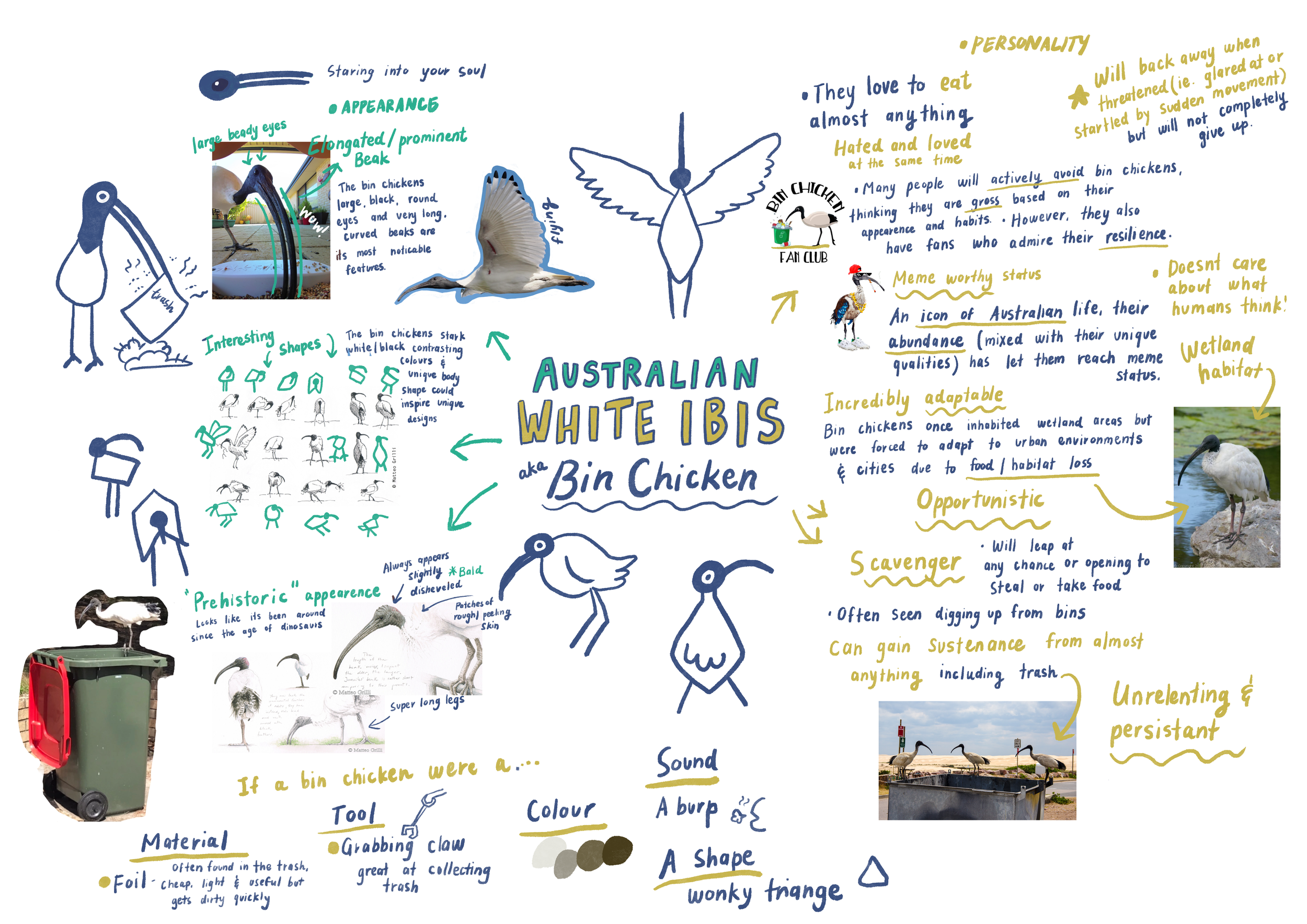 Untitled_Artwork 97.png