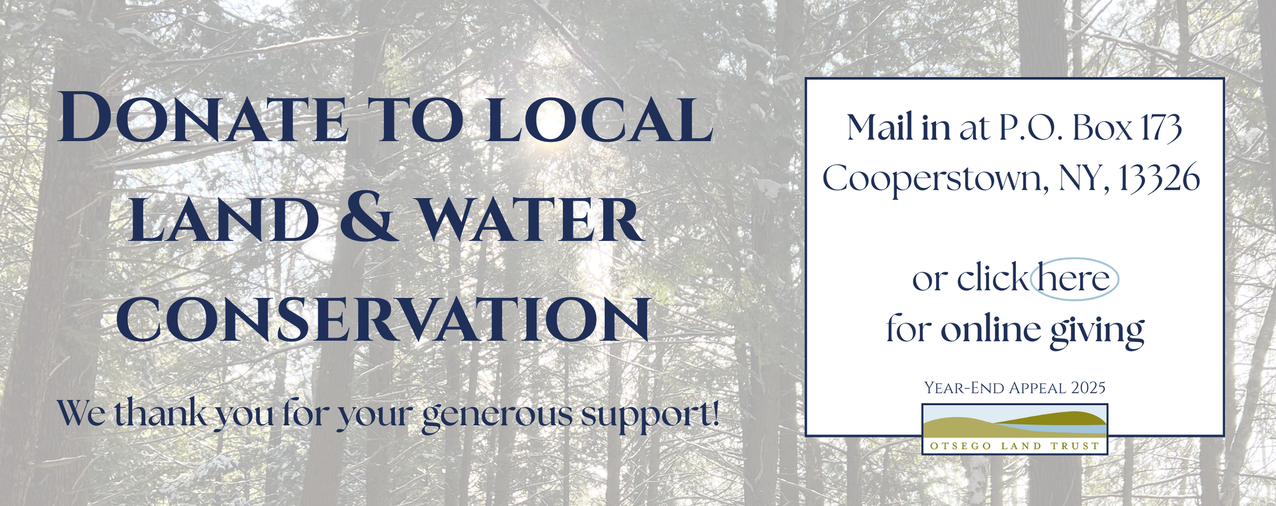 Year End Appeal 2025 header for web.png